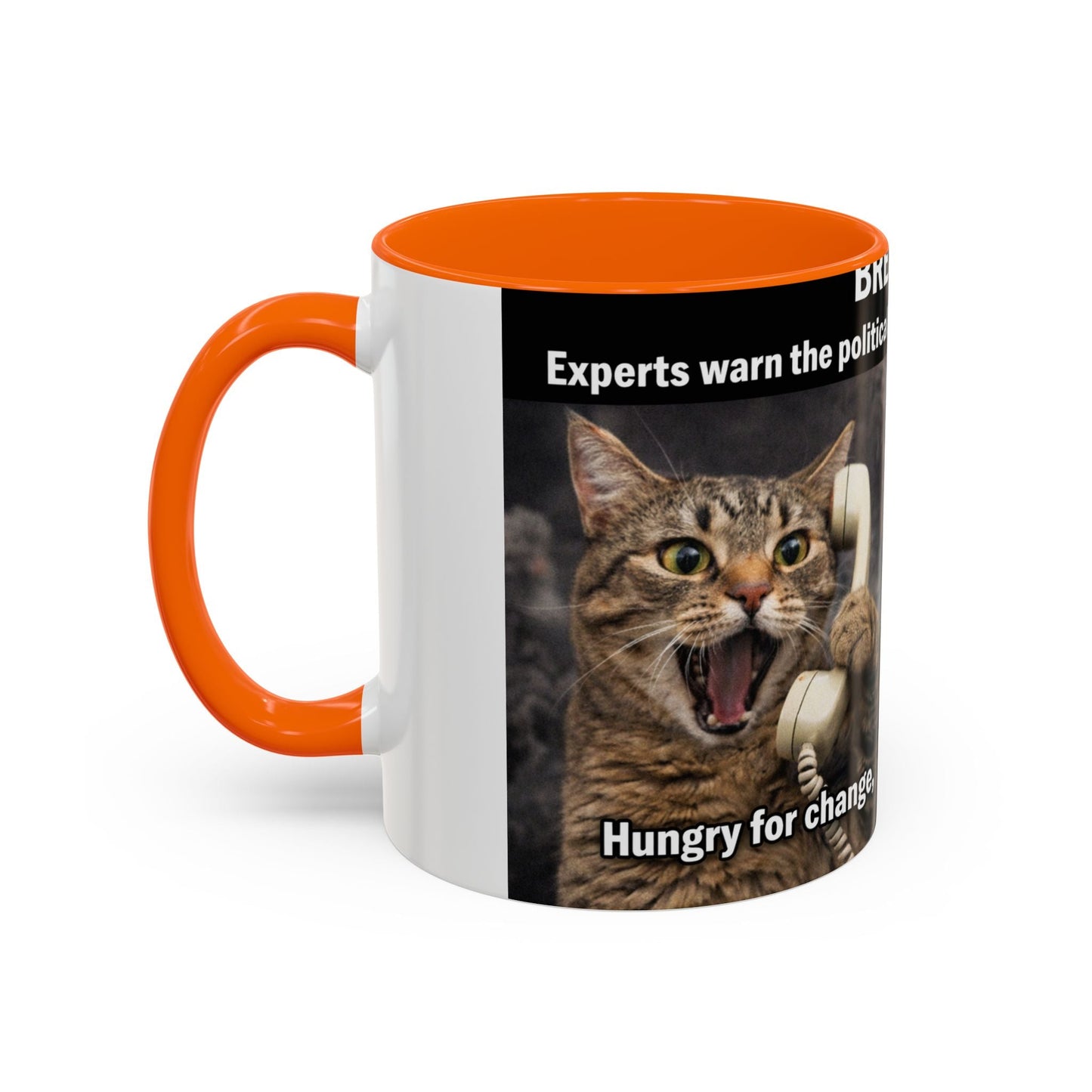 Coffee Mug - Funny Cat ‘Breaking: Politics Are Just Déjà Vu’ Meme Accent Mug (11/15oz) - FloofChonk