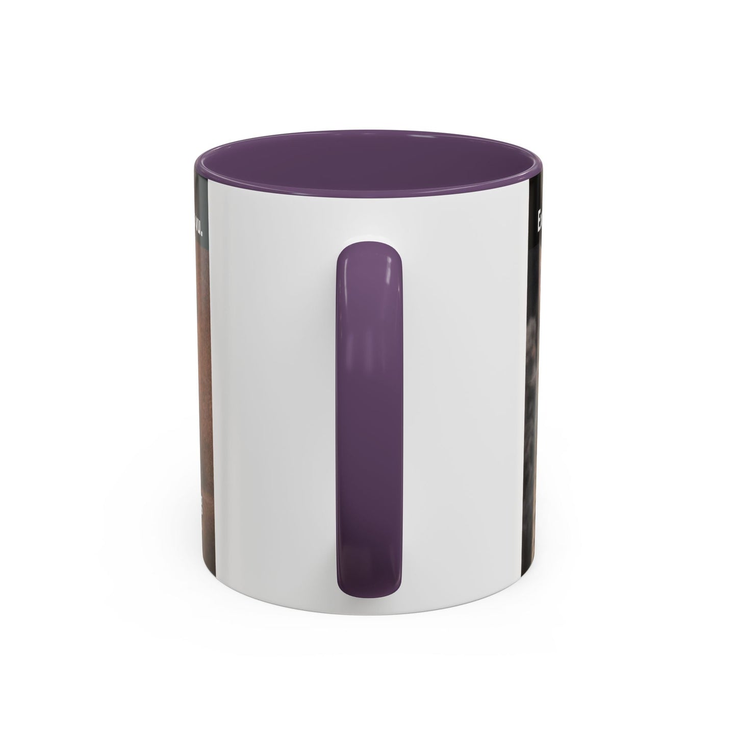 Coffee Mug - Funny Cat ‘Breaking: Politics Are Just Déjà Vu’ Meme Accent Mug (11/15oz) - FloofChonk