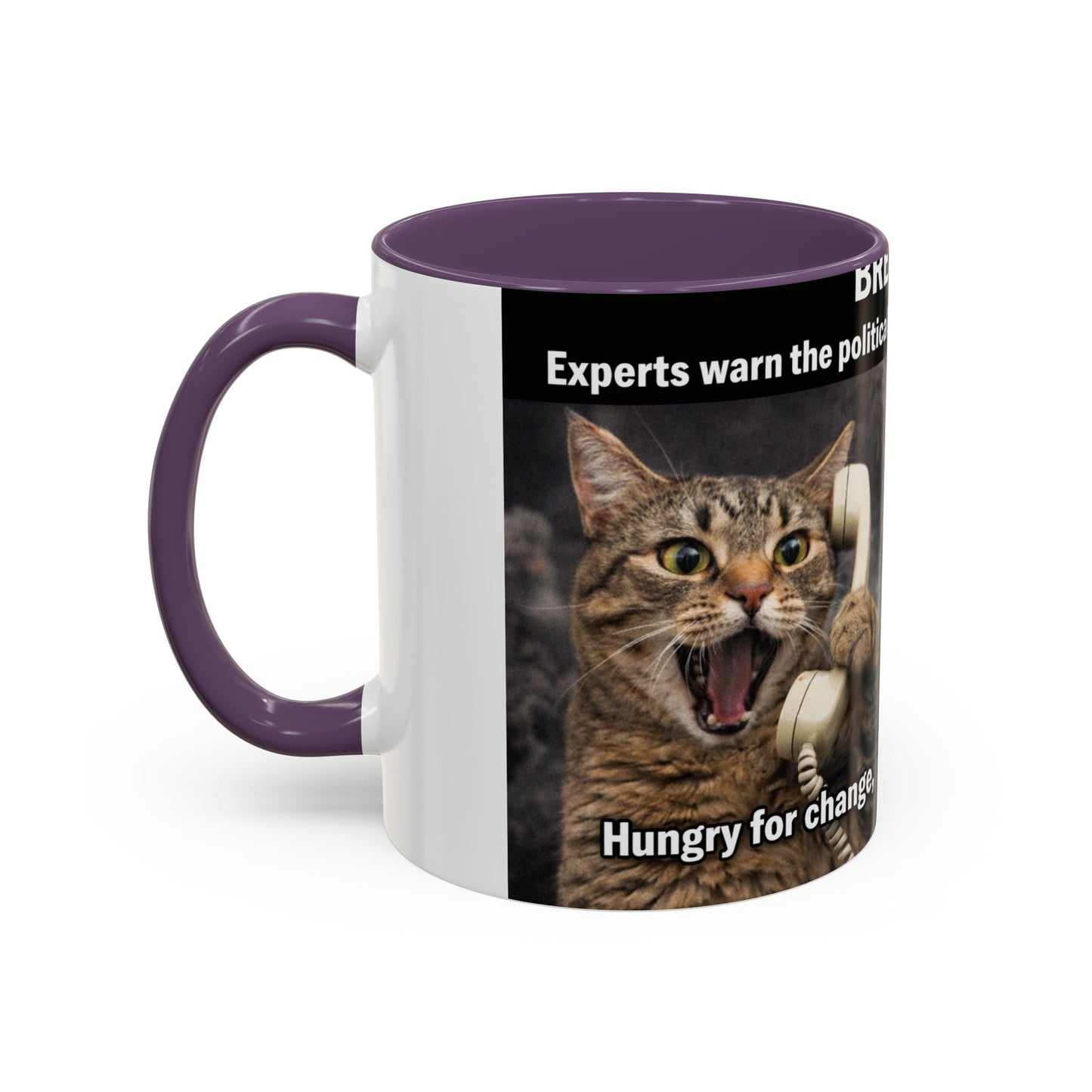 Coffee Mug - Funny Cat ‘Breaking: Politics Are Just Déjà Vu’ Meme Accent Mug (11/15oz) - FloofChonk