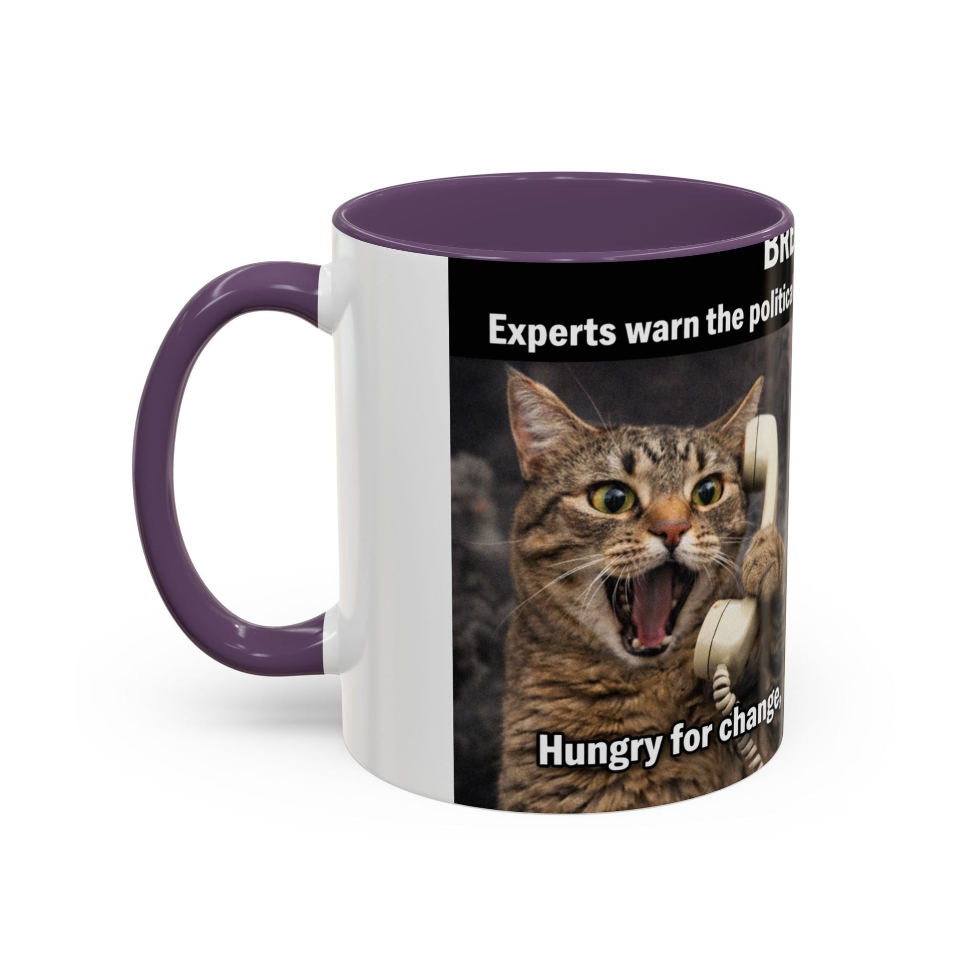 Coffee Mug - Funny Cat ‘Breaking: Politics Are Just Déjà Vu’ Meme Accent Mug (11/15oz) - FloofChonk