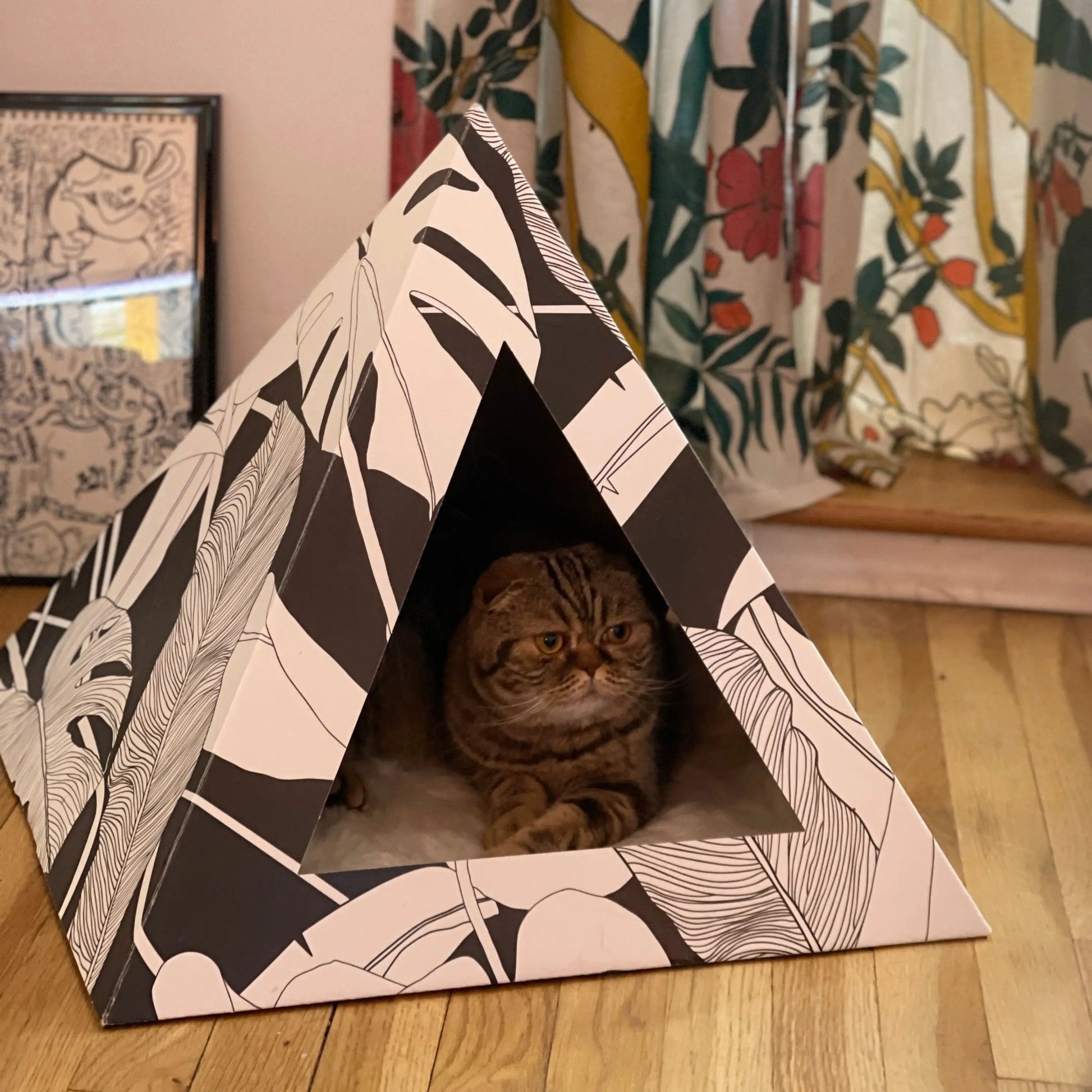 Dark Paradise Cardboard Cat Pyramid - FloofChonk