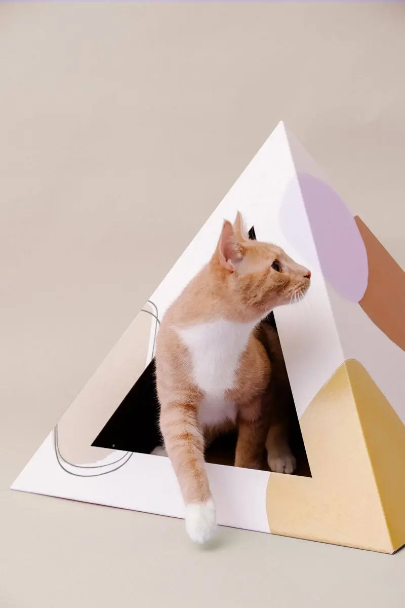 'Abstract' Cardboard Cat Pyramid KittyKardboard