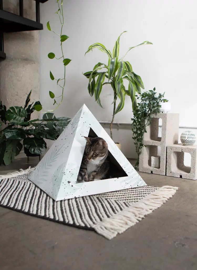 'Oasis' Cardboard Cat Pyramid KittyKardboard