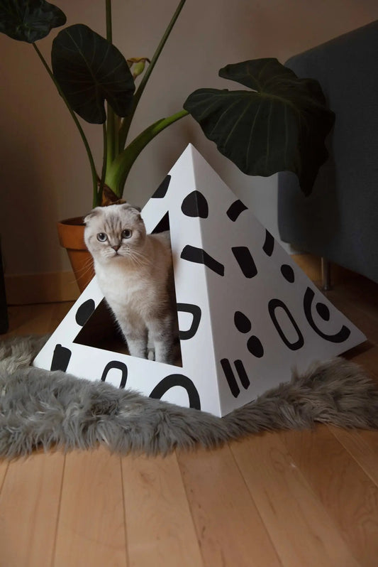 'Doodle' Cardboard Cat Pyramid - FloofChonk