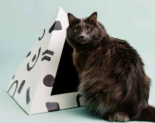 'Doodle' Cardboard Cat Pyramid - FloofChonk