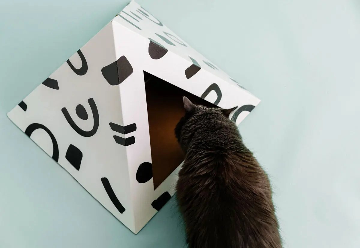 'Doodle' Cardboard Cat Pyramid - FloofChonk