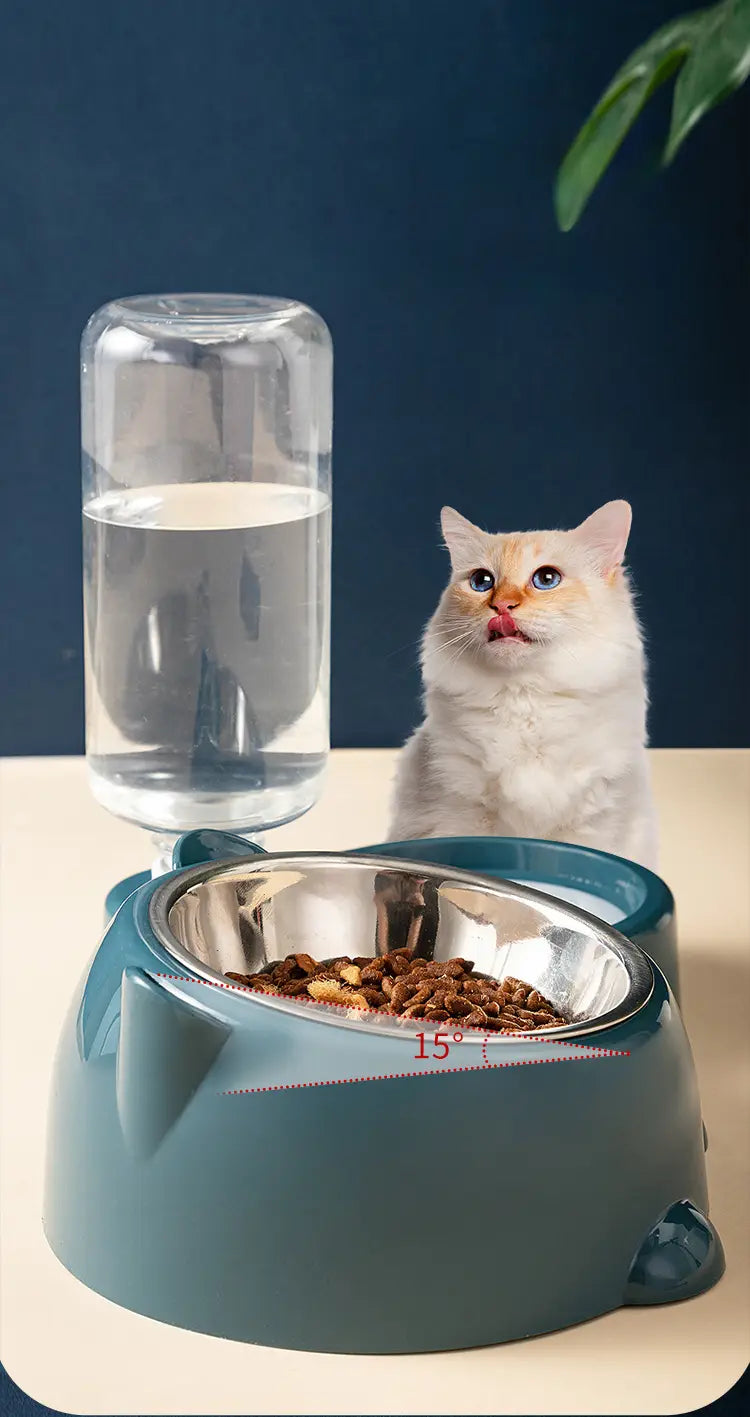 Cat Food And Water Bowl Set - 16 Degree Tilted Dog Dish With Water Dispenser Removable Pet Feeder Bowl Dog Drinking