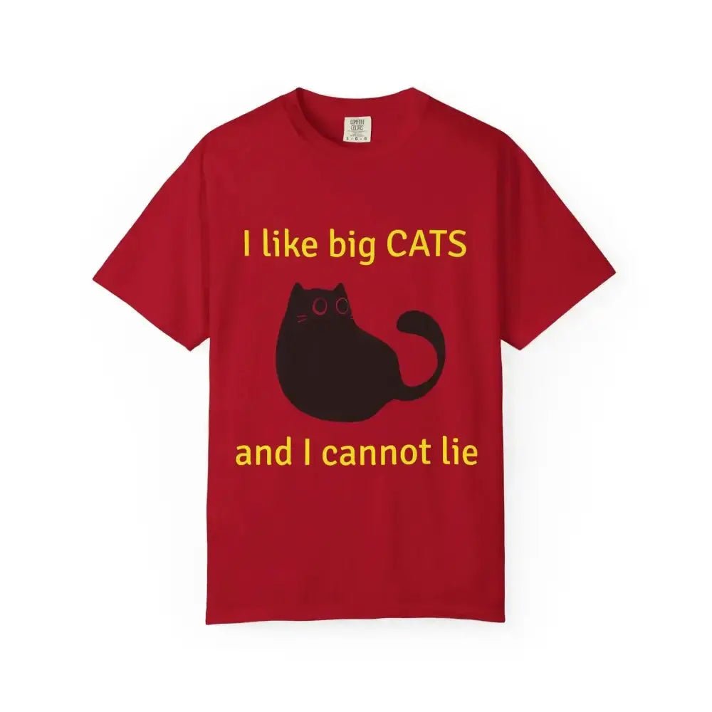 Funny Cat Lover T-Shirt, I Like Big Cats Tee - FloofChonk