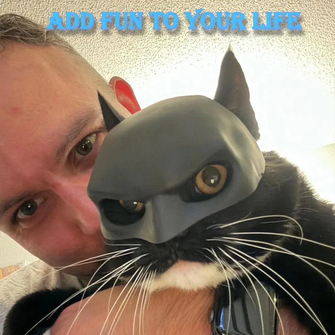 Gift Black Bat Cat Avenger Mask Matte Cool Bat Mask Superhero Cute Pet Toys For Cats And Dogs - FloofChonk