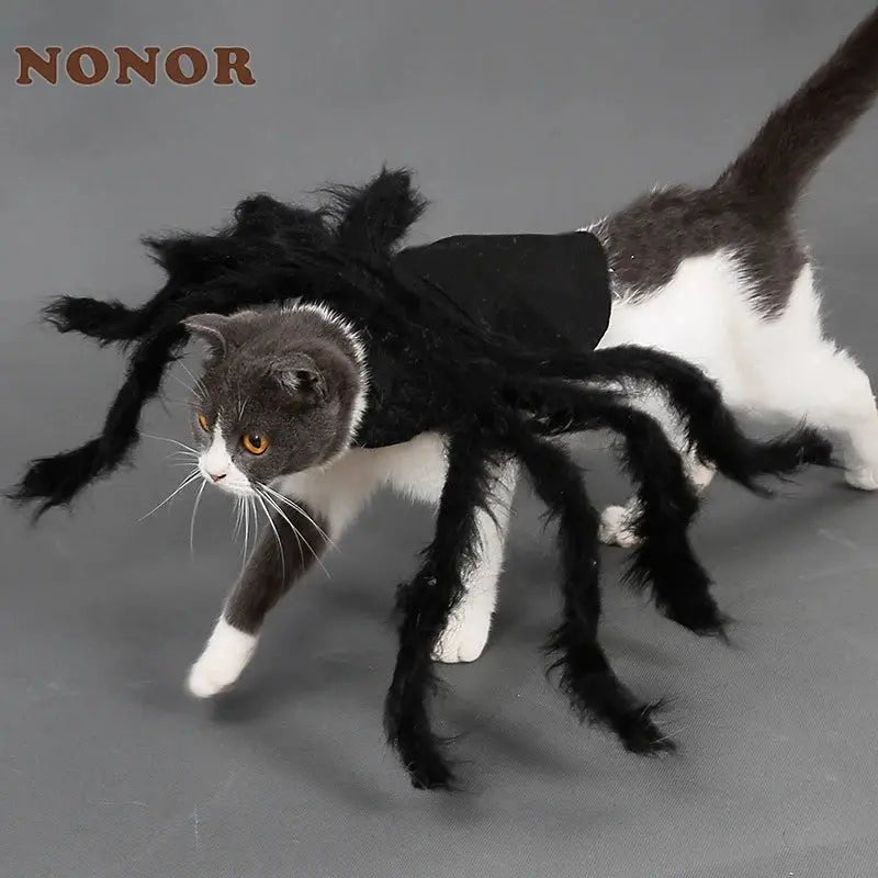 Halloween Pet Cosplay Funny Spider Costume Halloween Party Costumes for Small Medium Dog Cat Costumes - FloofChonk