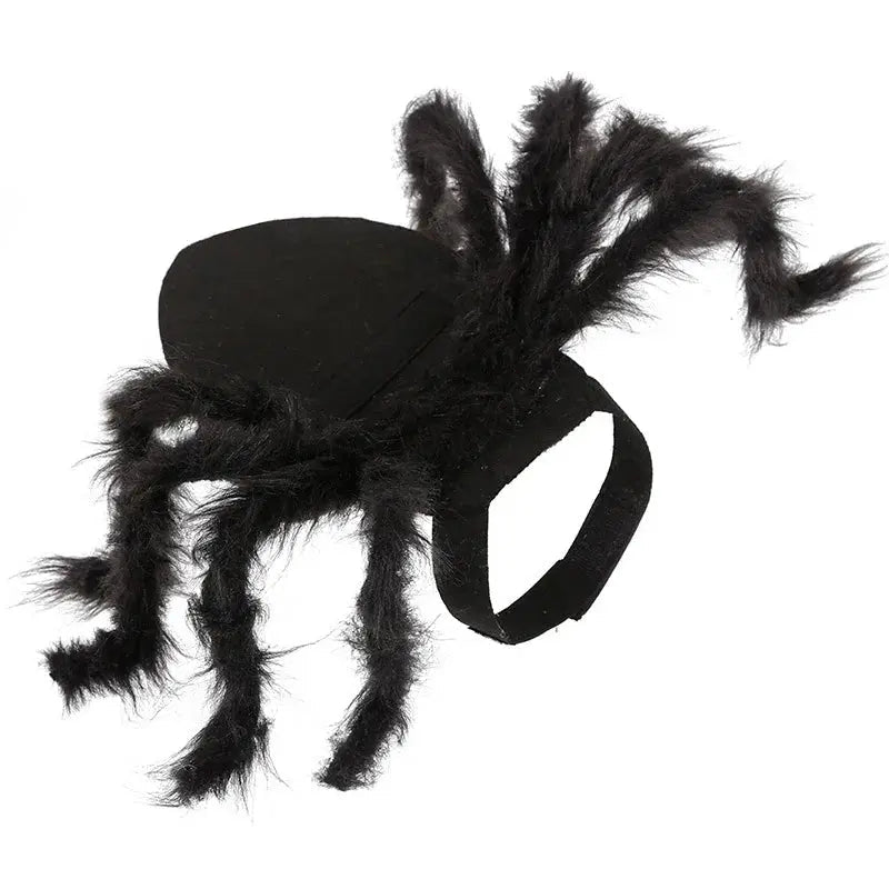 Halloween Pet Cosplay Funny Spider Costume Halloween Party Costumes for Small Medium Dog Cat Costumes - FloofChonk