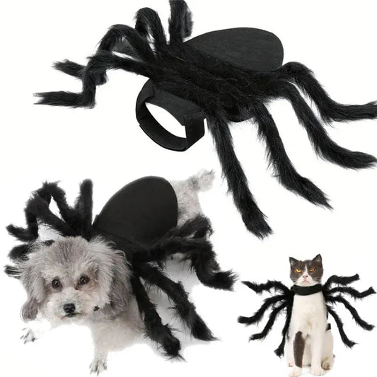 Halloween Pet Cosplay Funny Spider Costume Halloween Party Costumes for Small Medium Dog Cat Costumes - FloofChonk