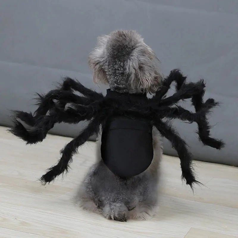 Halloween Pet Cosplay Funny Spider Costume Halloween Party Costumes for Small Medium Dog Cat Costumes - FloofChonk