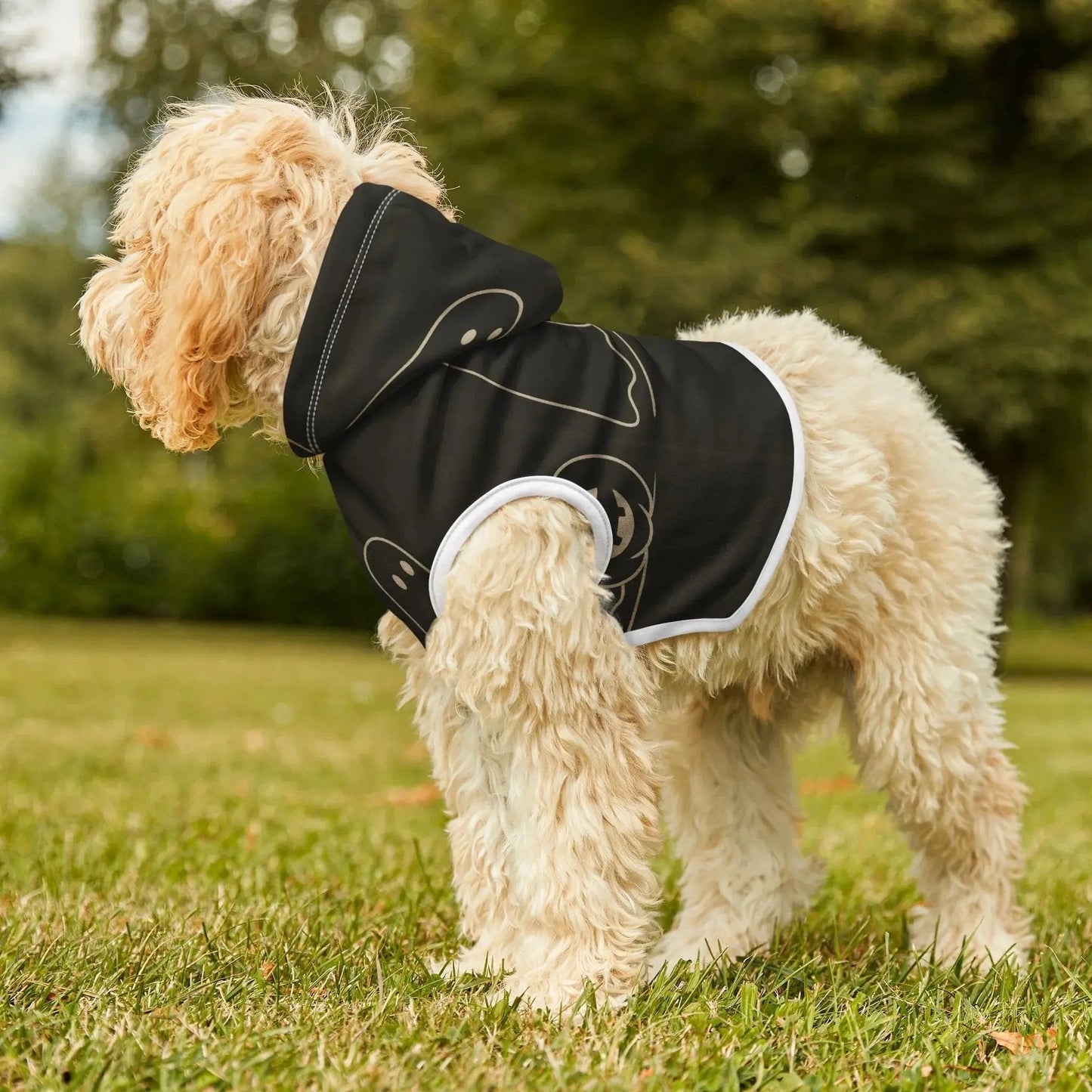 Halloween Pet Hoodie - FloofChonk