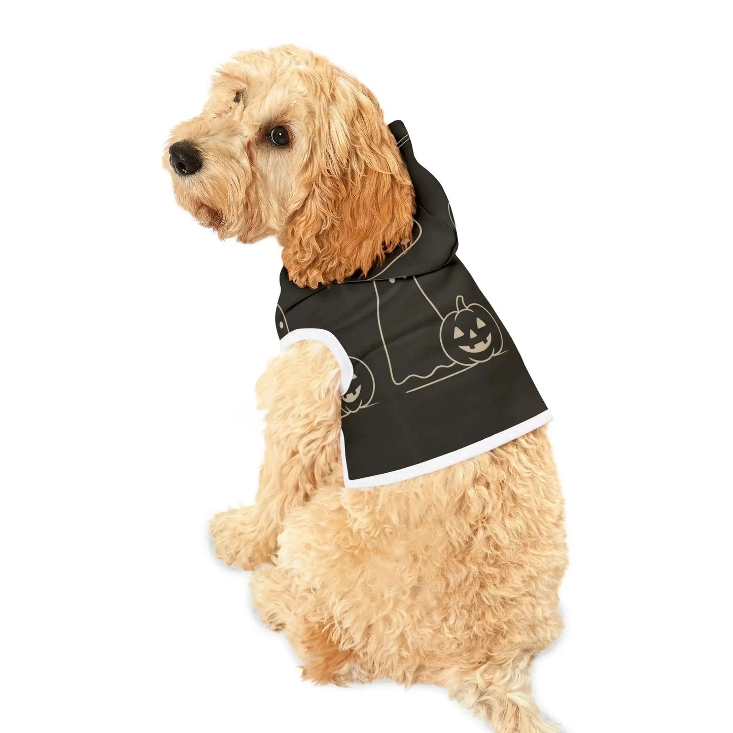 Halloween Pet Hoodie - FloofChonk