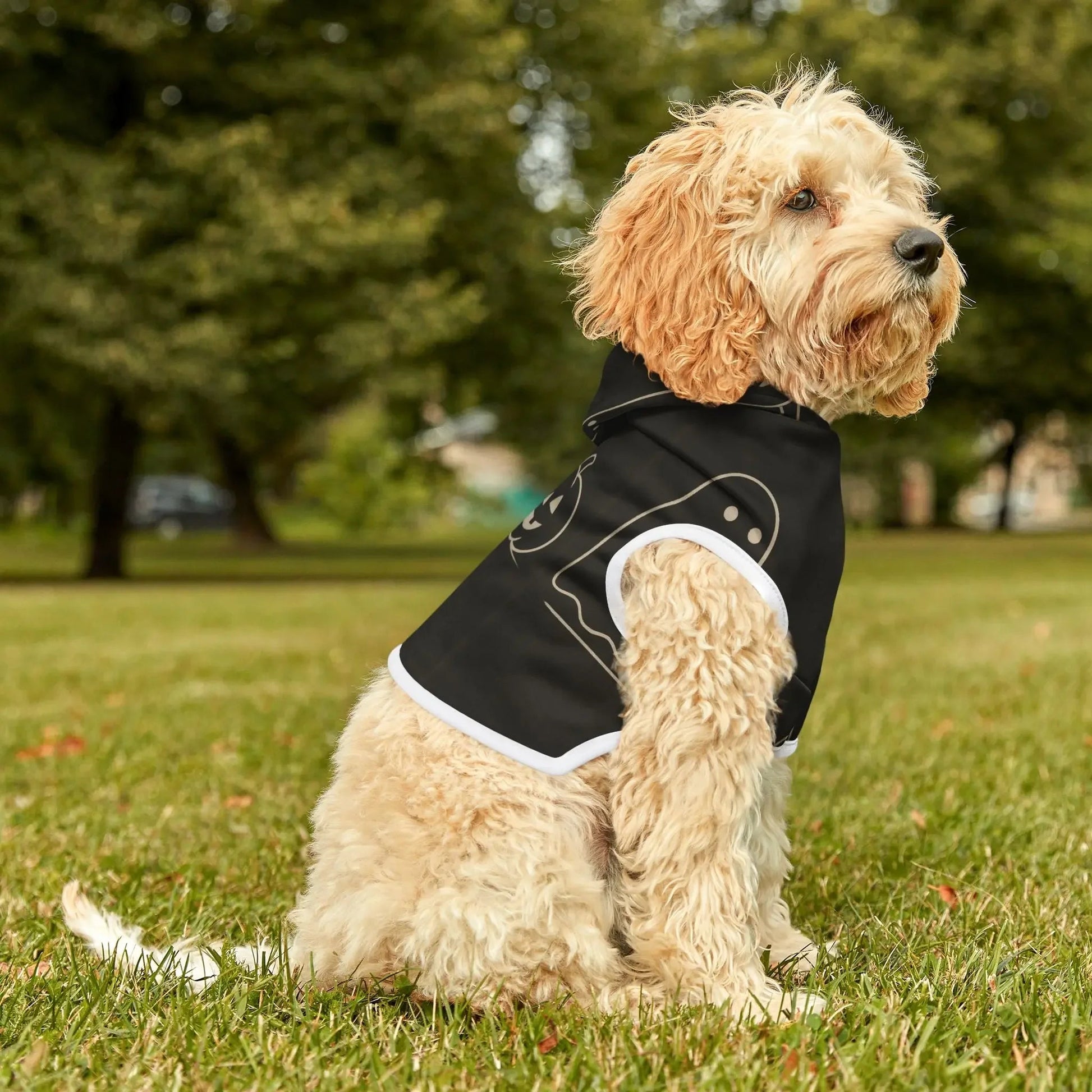 Halloween Pet Hoodie - FloofChonk