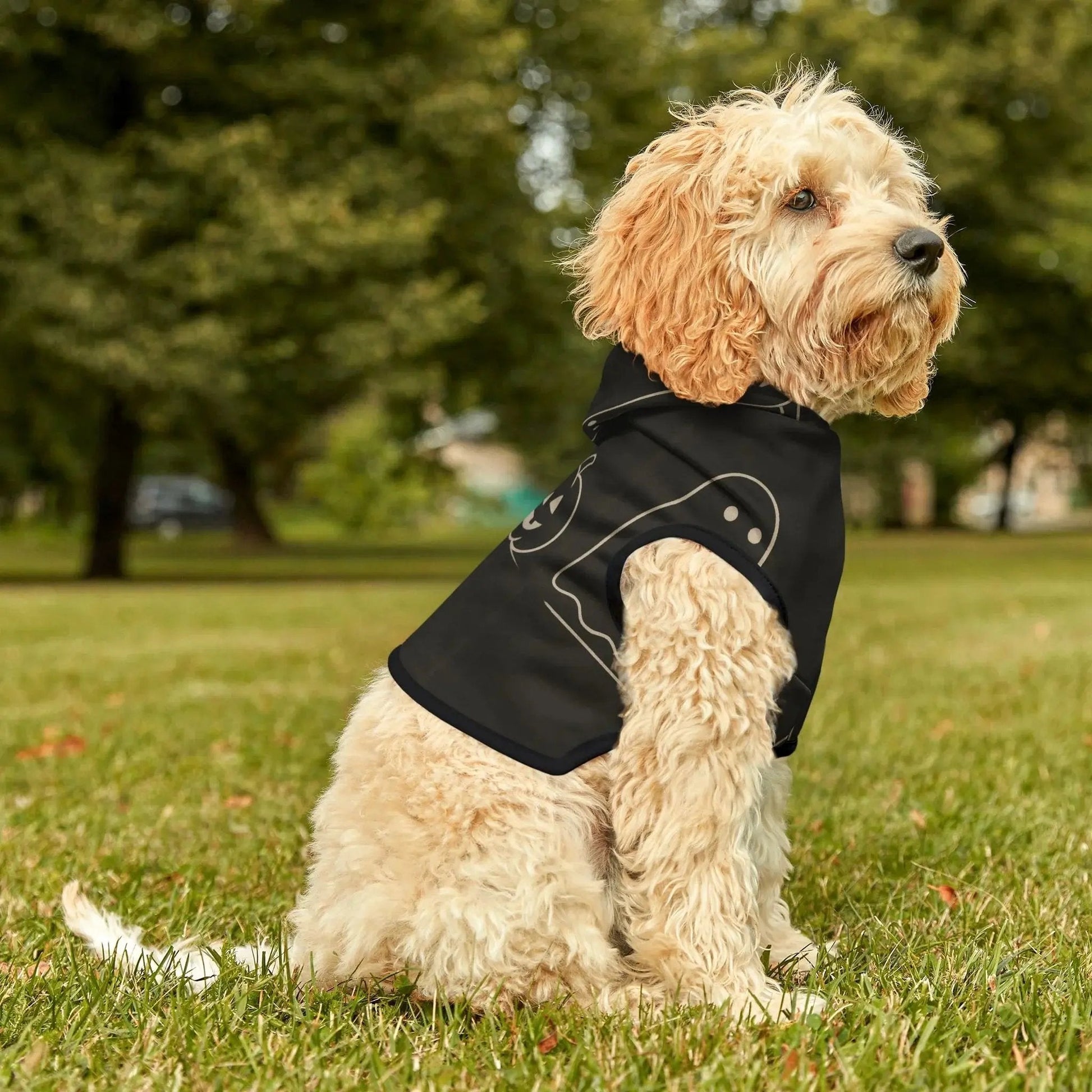 Halloween Pet Hoodie - FloofChonk
