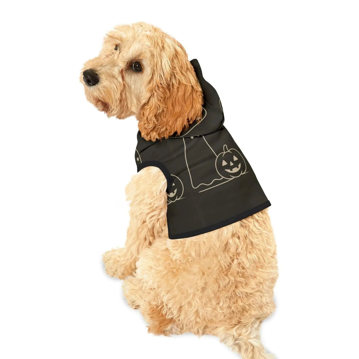 Halloween Pet Hoodie - FloofChonk