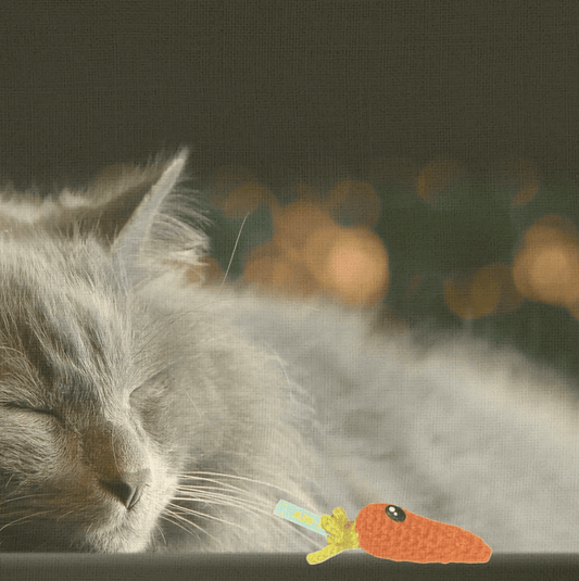 Handmade Catnip Toy | Lulu the Carrot Chunkle Puff Infused with Miracle Nip Botanicals - FloofChonk