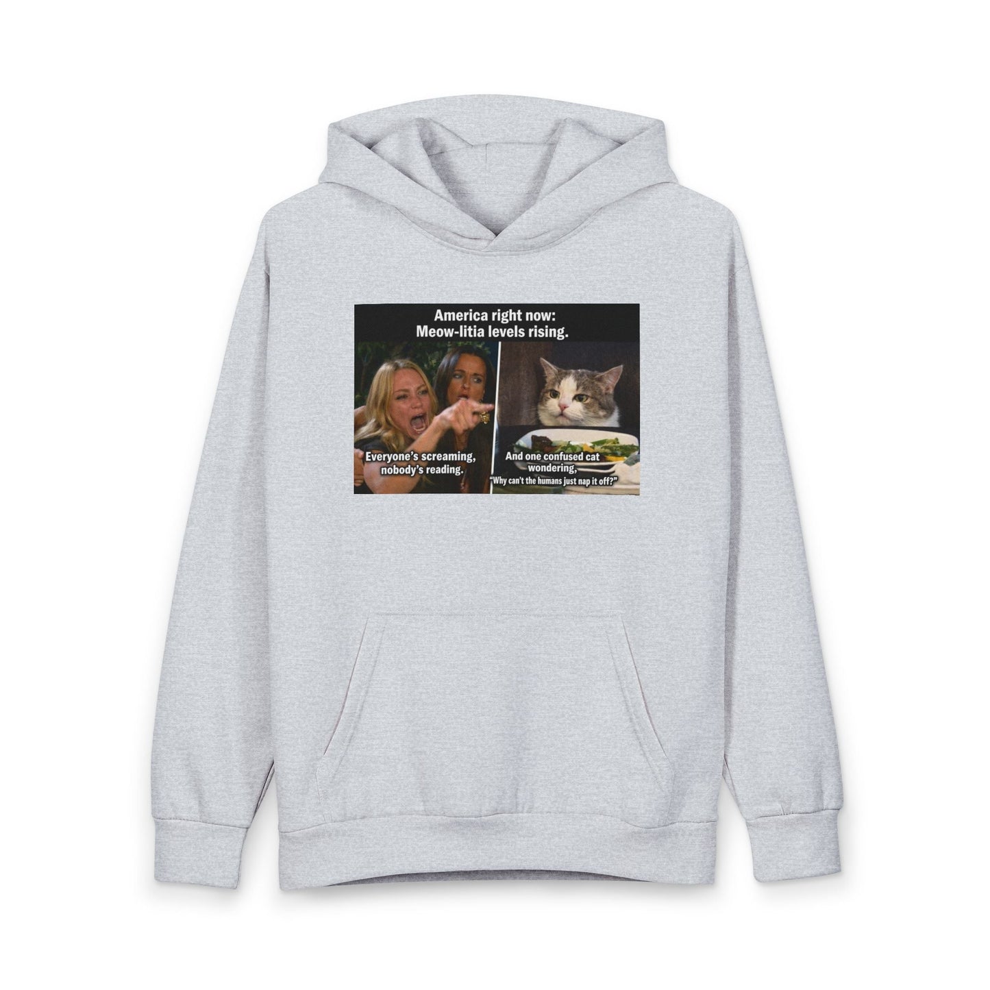 Hoodie - Meme Cat 'America Right Now: Meow - ritas Levels Rising' Pullover - FloofChonk