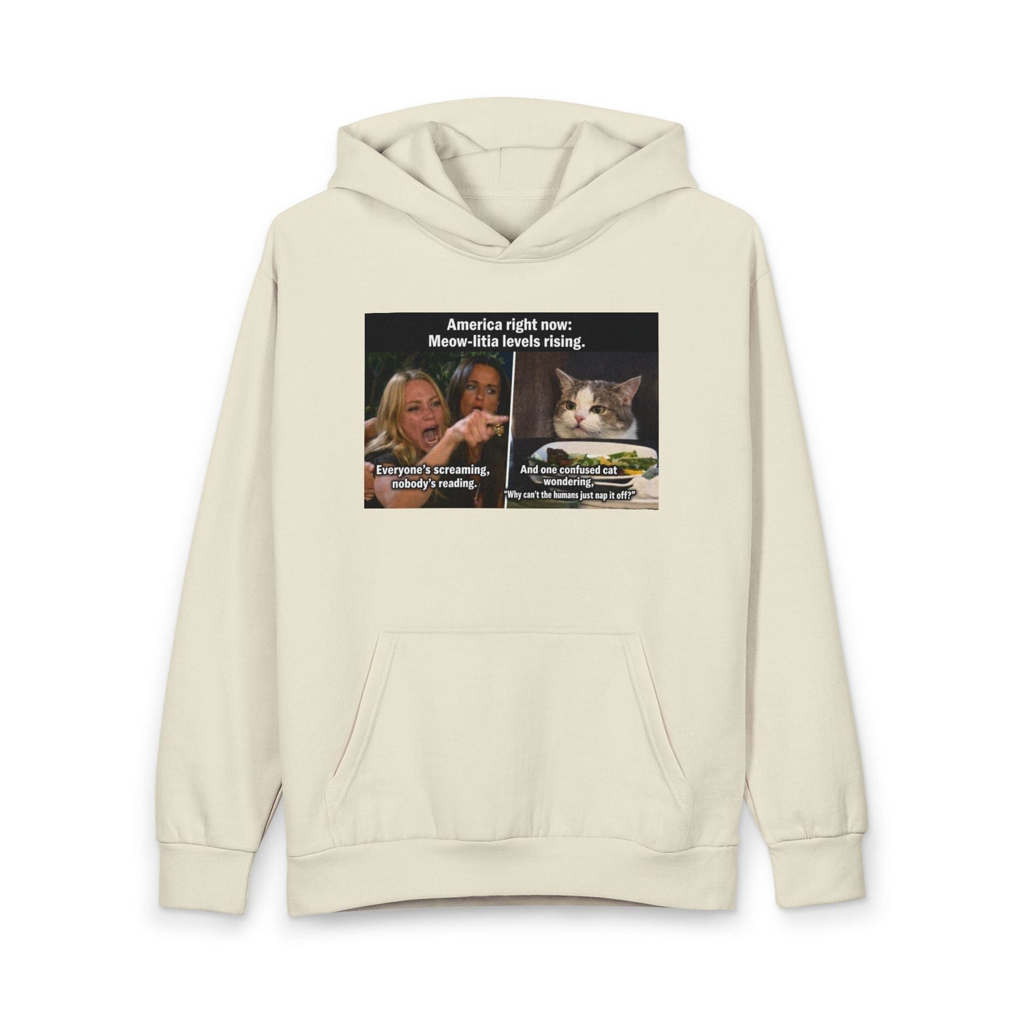 Hoodie - Meme Cat 'America Right Now: Meow - ritas Levels Rising' Pullover - FloofChonk