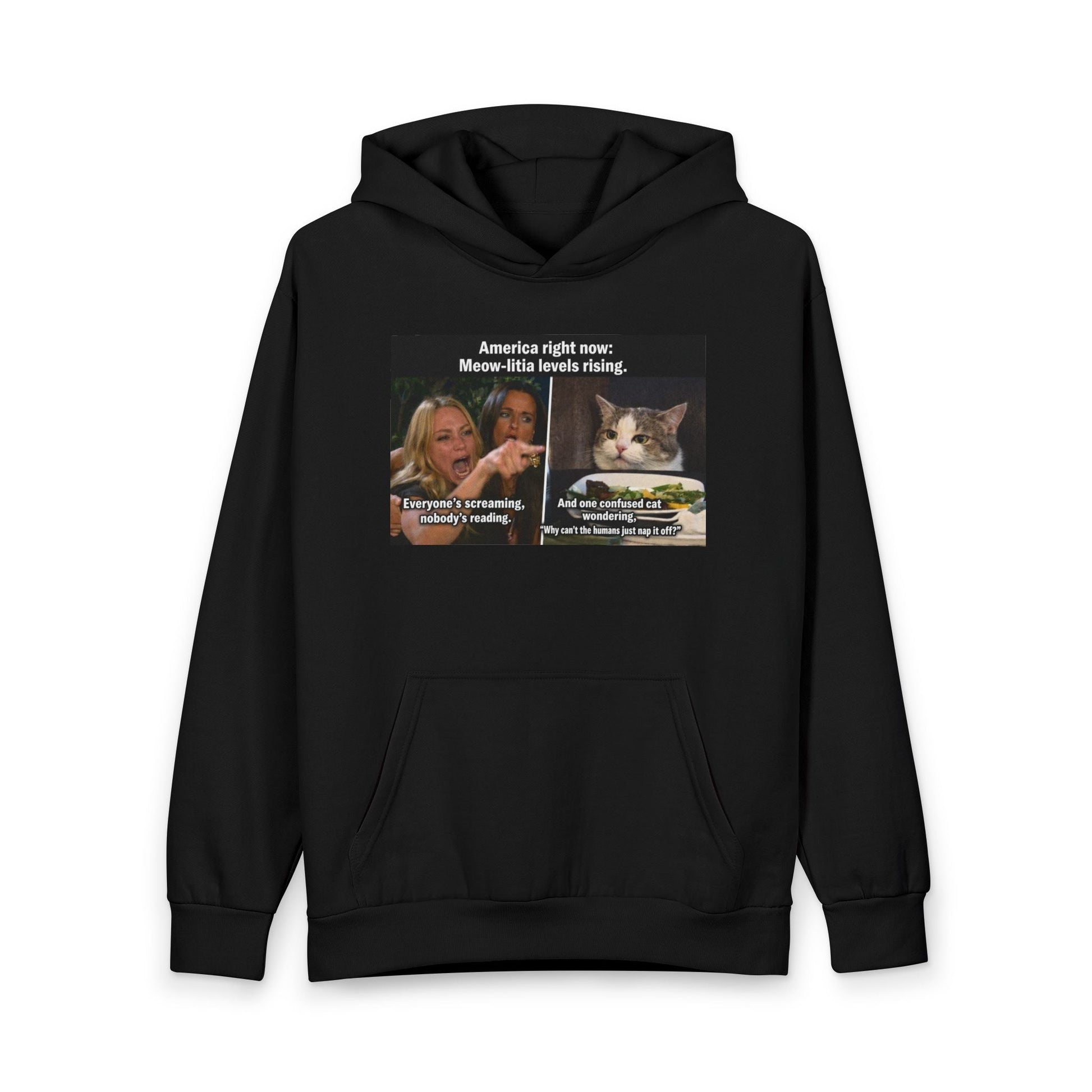 Hoodie - Meme Cat 'America Right Now: Meow - ritas Levels Rising' Pullover - FloofChonk