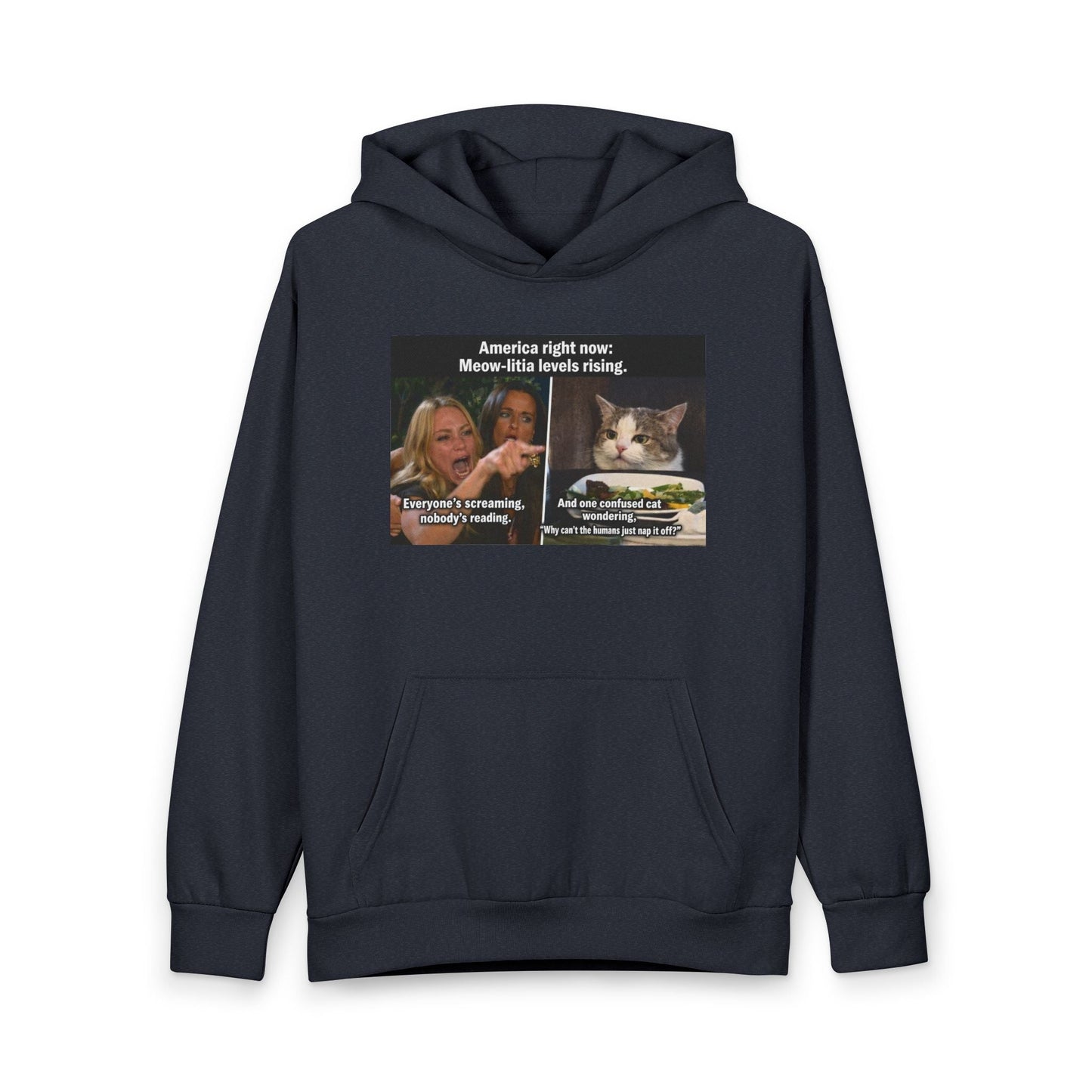 Hoodie - Meme Cat 'America Right Now: Meow - ritas Levels Rising' Pullover - FloofChonk