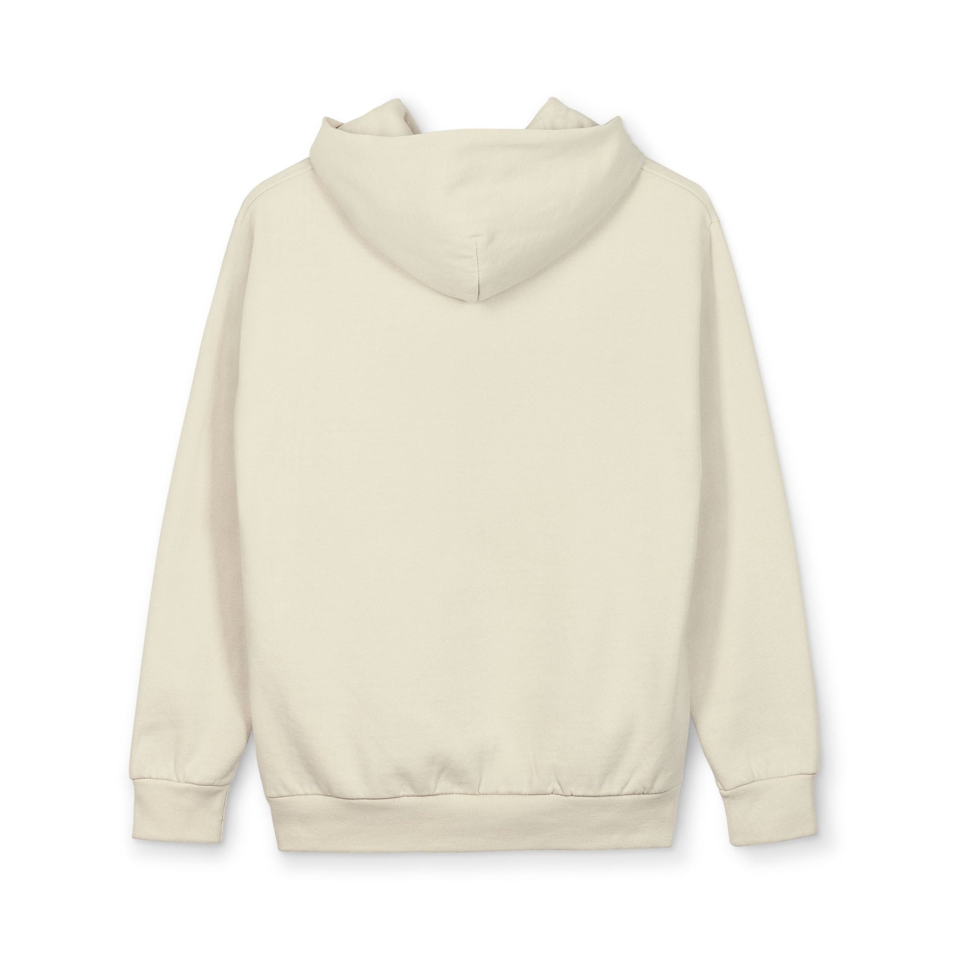 Hoodie - Meme Cat 'America Right Now: Meow - ritas Levels Rising' Pullover - FloofChonk