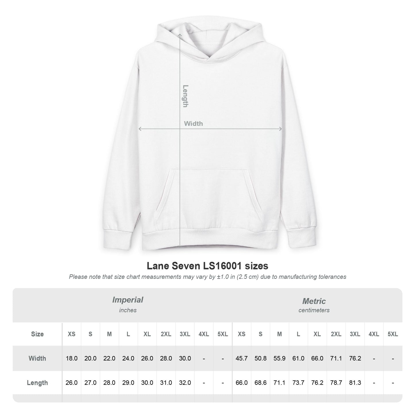 Hoodie - Meme Cat 'America Right Now: Meow - ritas Levels Rising' Pullover - FloofChonk