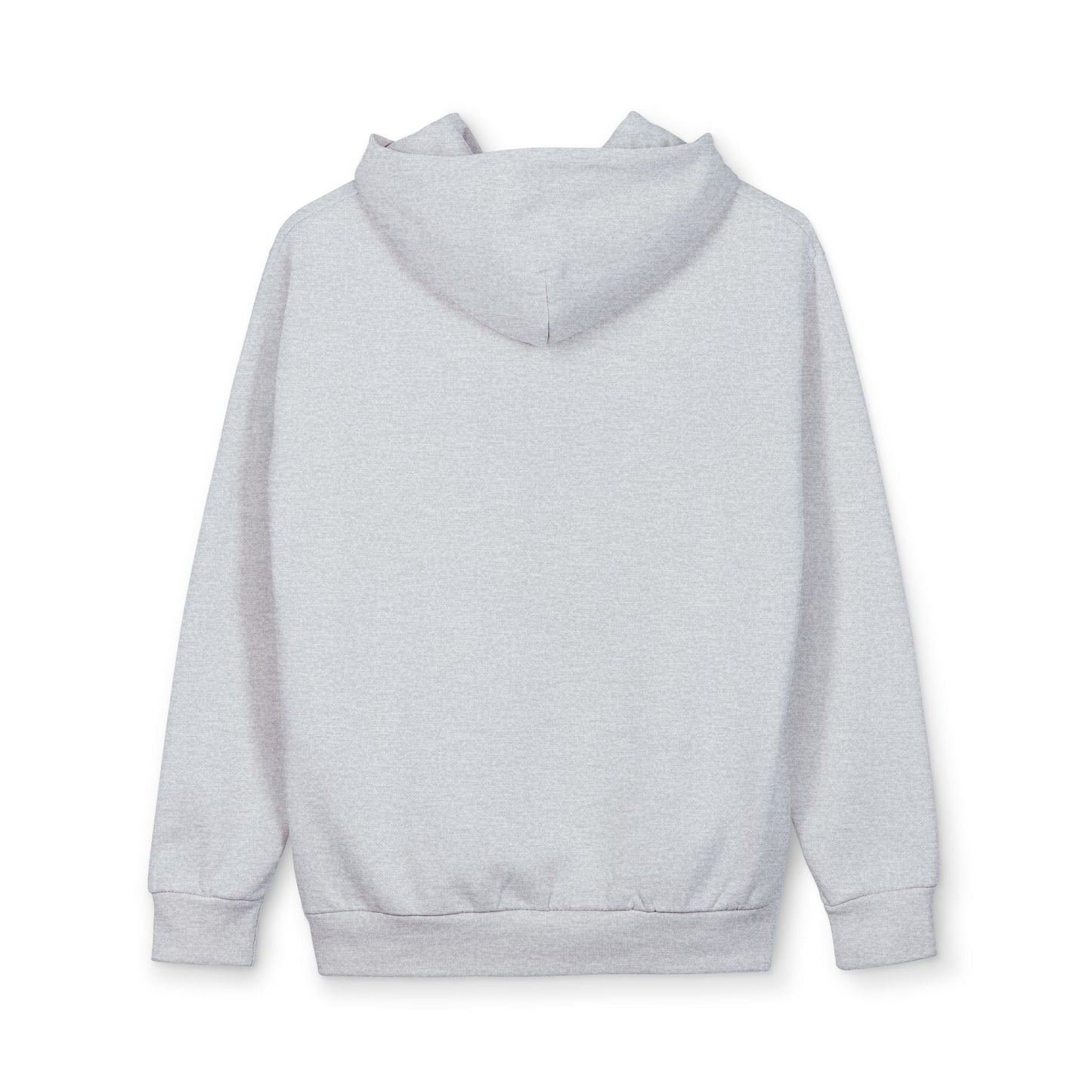 Hoodie - Meme Cat 'America Right Now: Meow - ritas Levels Rising' Pullover - FloofChonk