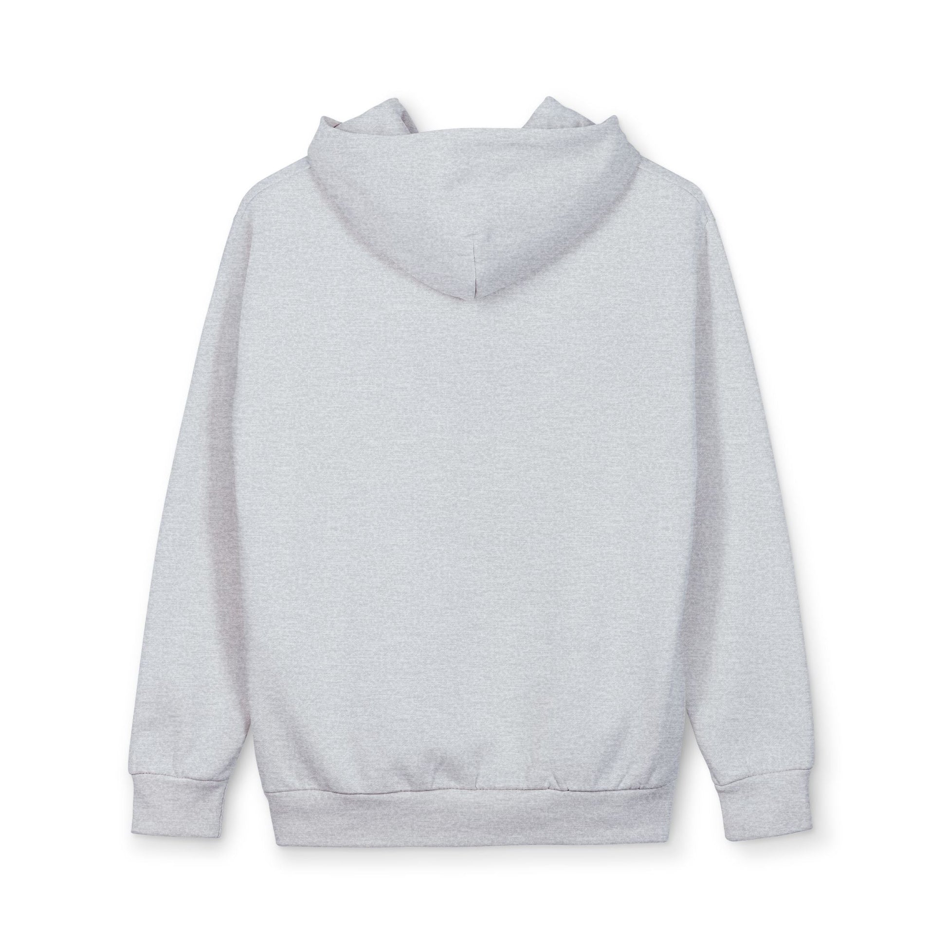 Hoodie - Meme Cat 'America Right Now: Meow - ritas Levels Rising' Pullover - FloofChonk