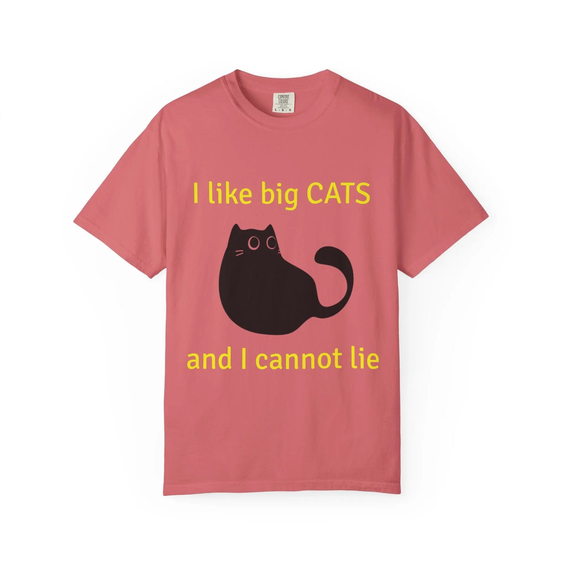 I Like Big Cats T-Shirt, Funny Cat Lover Tee, Gift for Cat Owners - FloofChonk