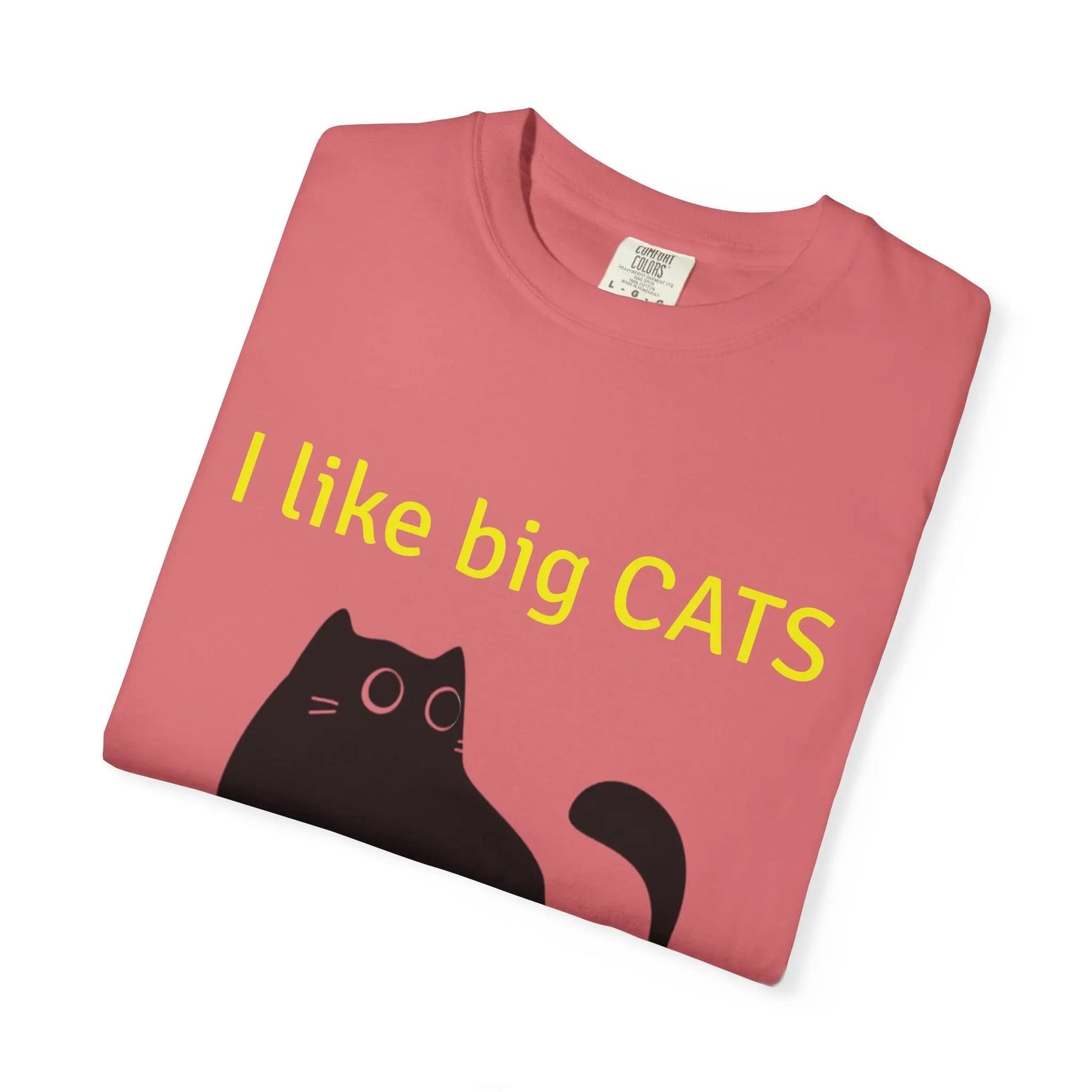 I Like Big Cats T-Shirt, Funny Cat Lover Tee, Gift for Cat Owners - FloofChonk