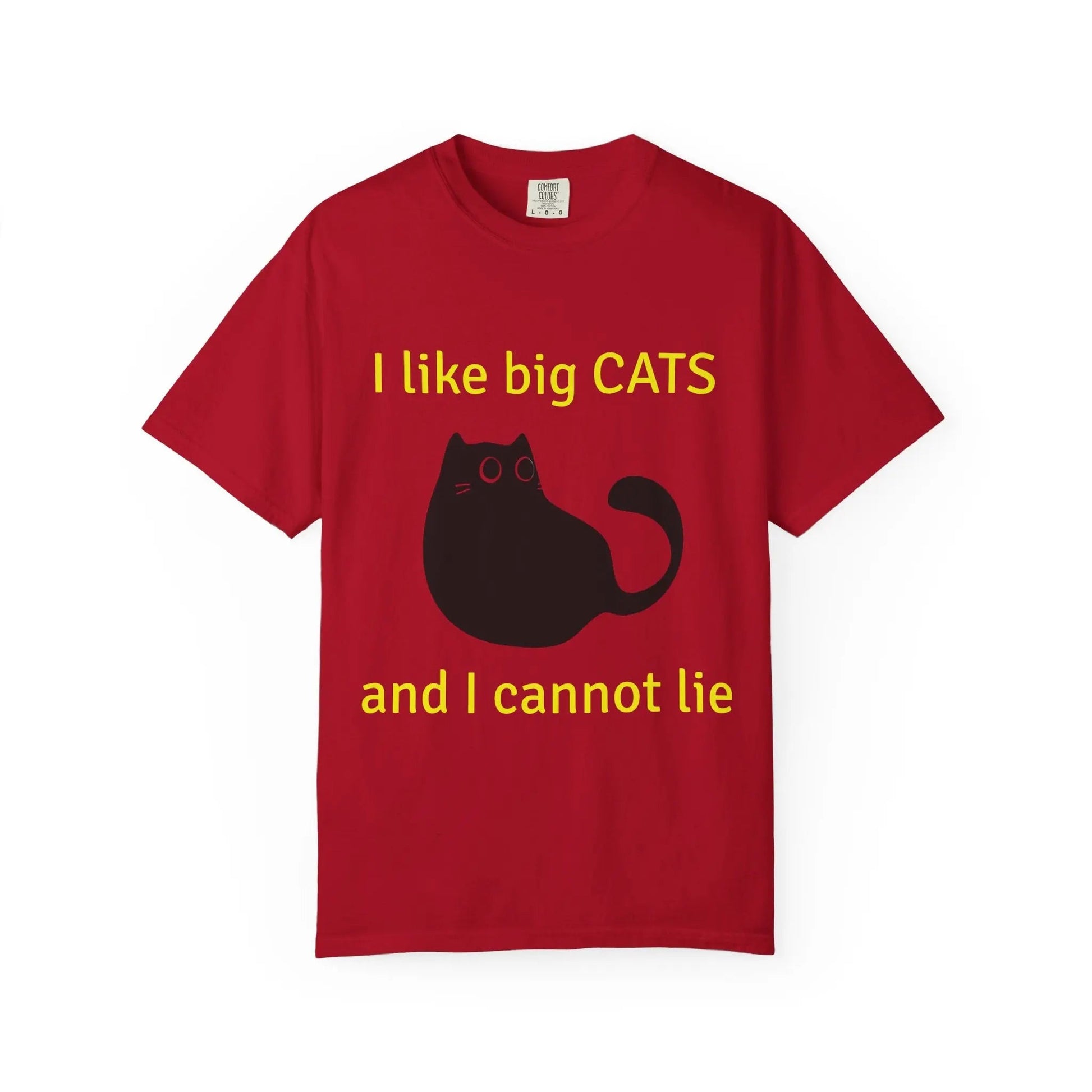 I Like Big Cats T-Shirt, Funny Cat Lover Tee, Gift for Cat Owners - FloofChonk