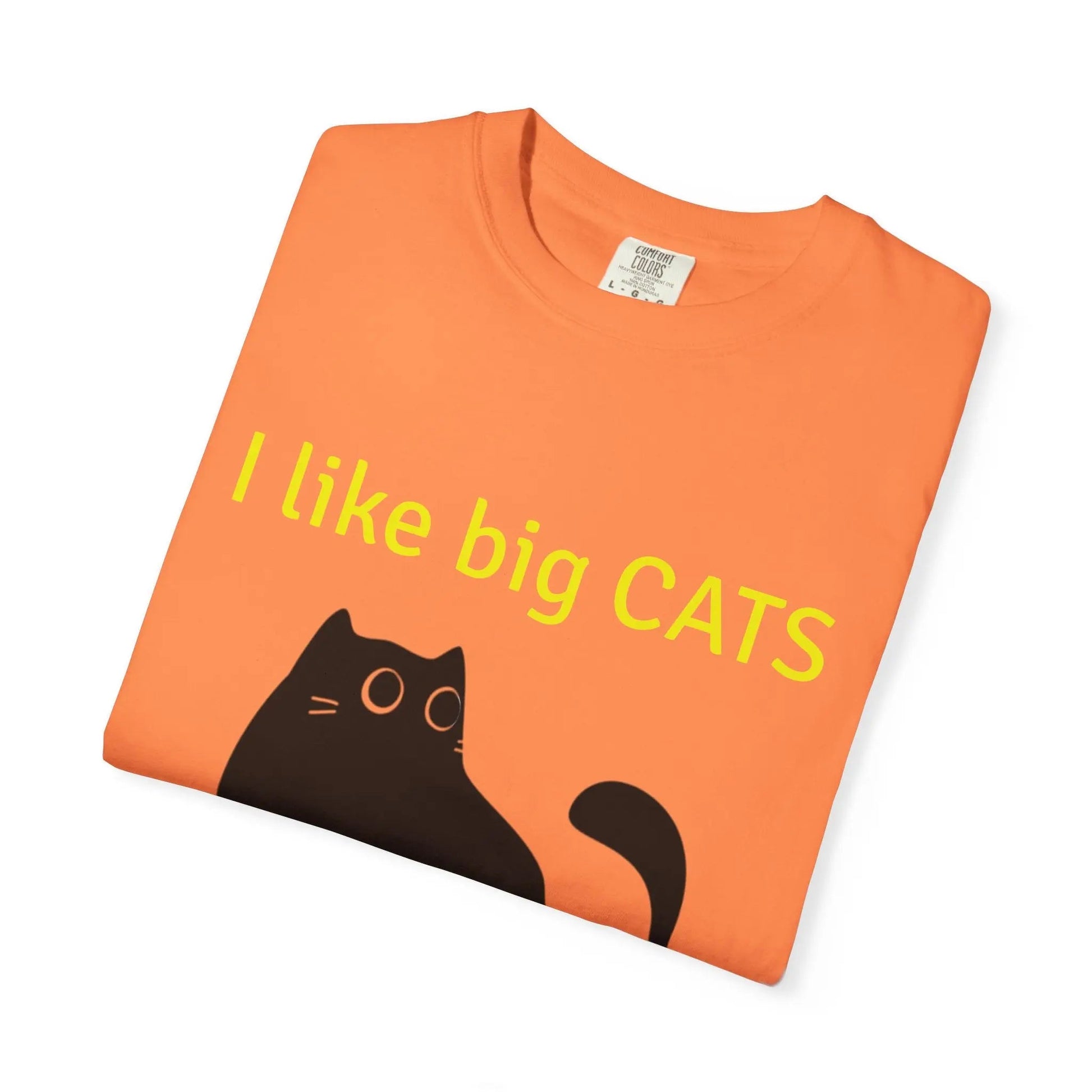 I Like Big Cats T-Shirt, Funny Cat Lover Tee, Gift for Cat Owners - FloofChonk