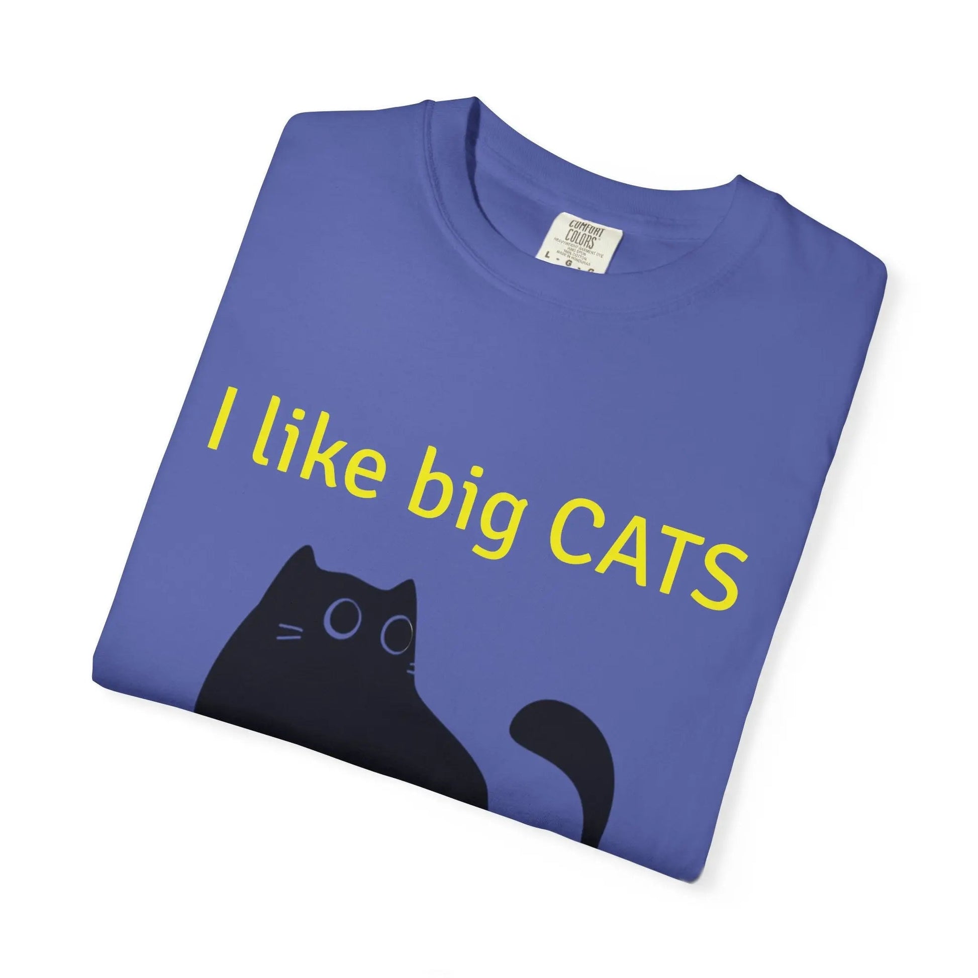 I Like Big Cats T-Shirt, Funny Cat Lover Tee, Gift for Cat Owners - FloofChonk