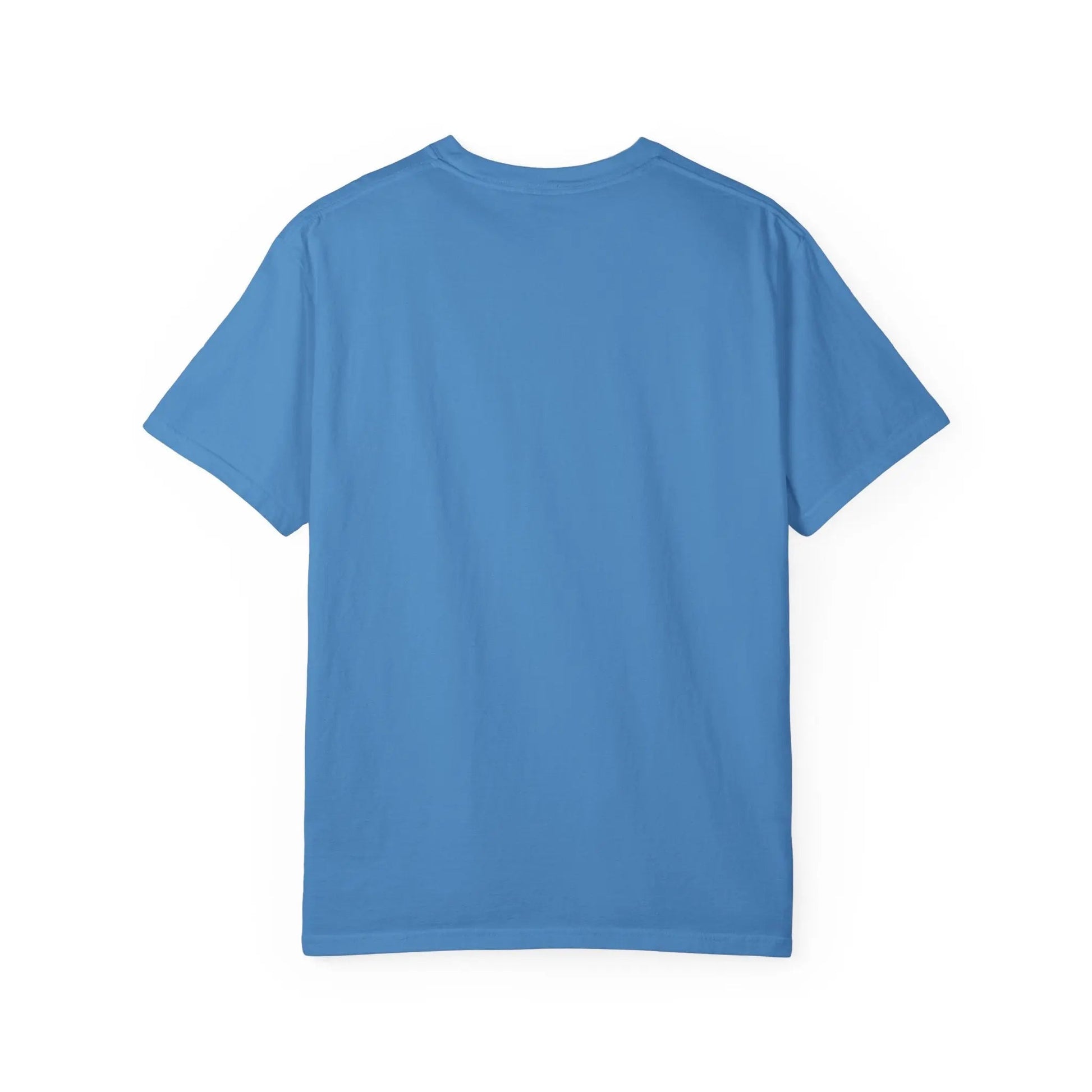 I Like Big Cats T-Shirt, Funny Cat Lover Tee, Gift for Cat Owners - FloofChonk