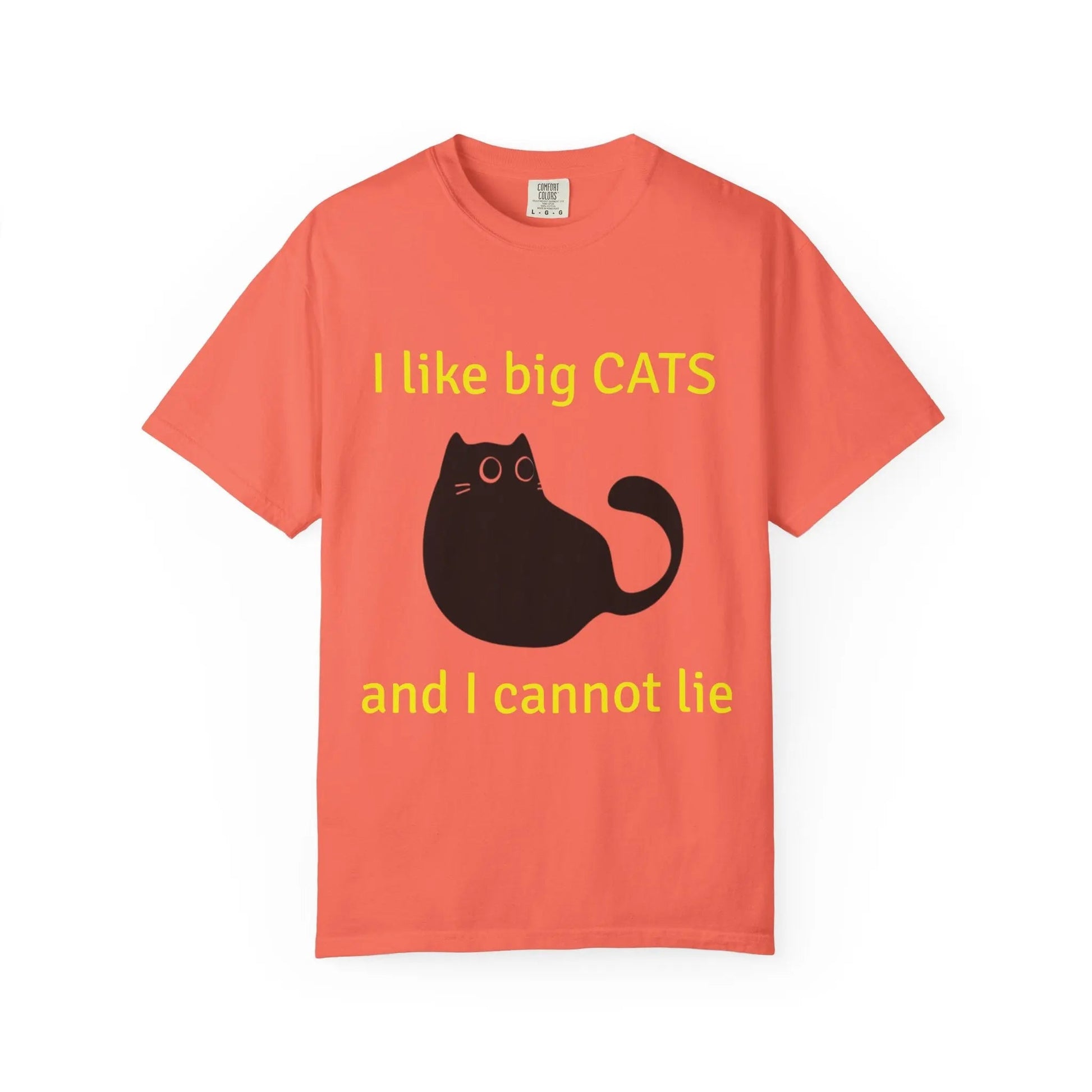 I Like Big Cats T-Shirt, Funny Cat Lover Tee, Gift for Cat Owners - FloofChonk