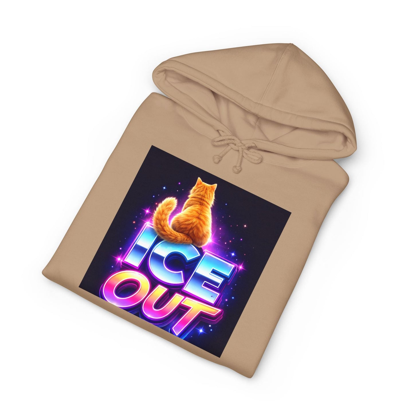 Ice Out Hoodie — Retro Neon Cat Graphic Hoodie - FloofChonk