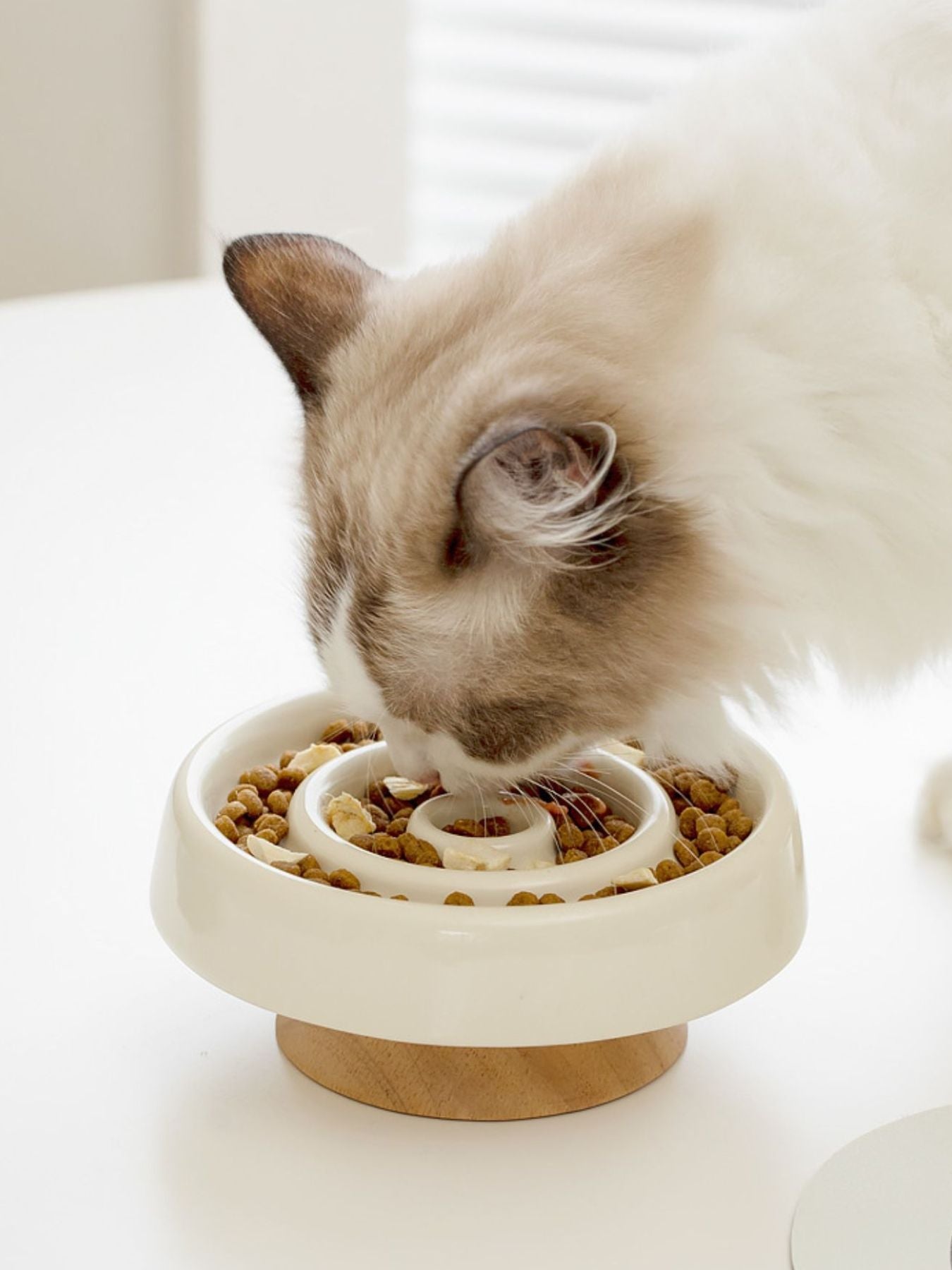 Interactive Slow Feeder Pet Bowl - FloofChonk