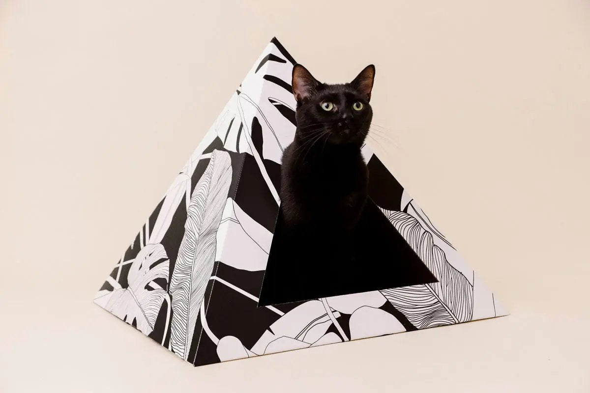'Dark Paradise' Cardboard Cat Pyramid KittyKardboard