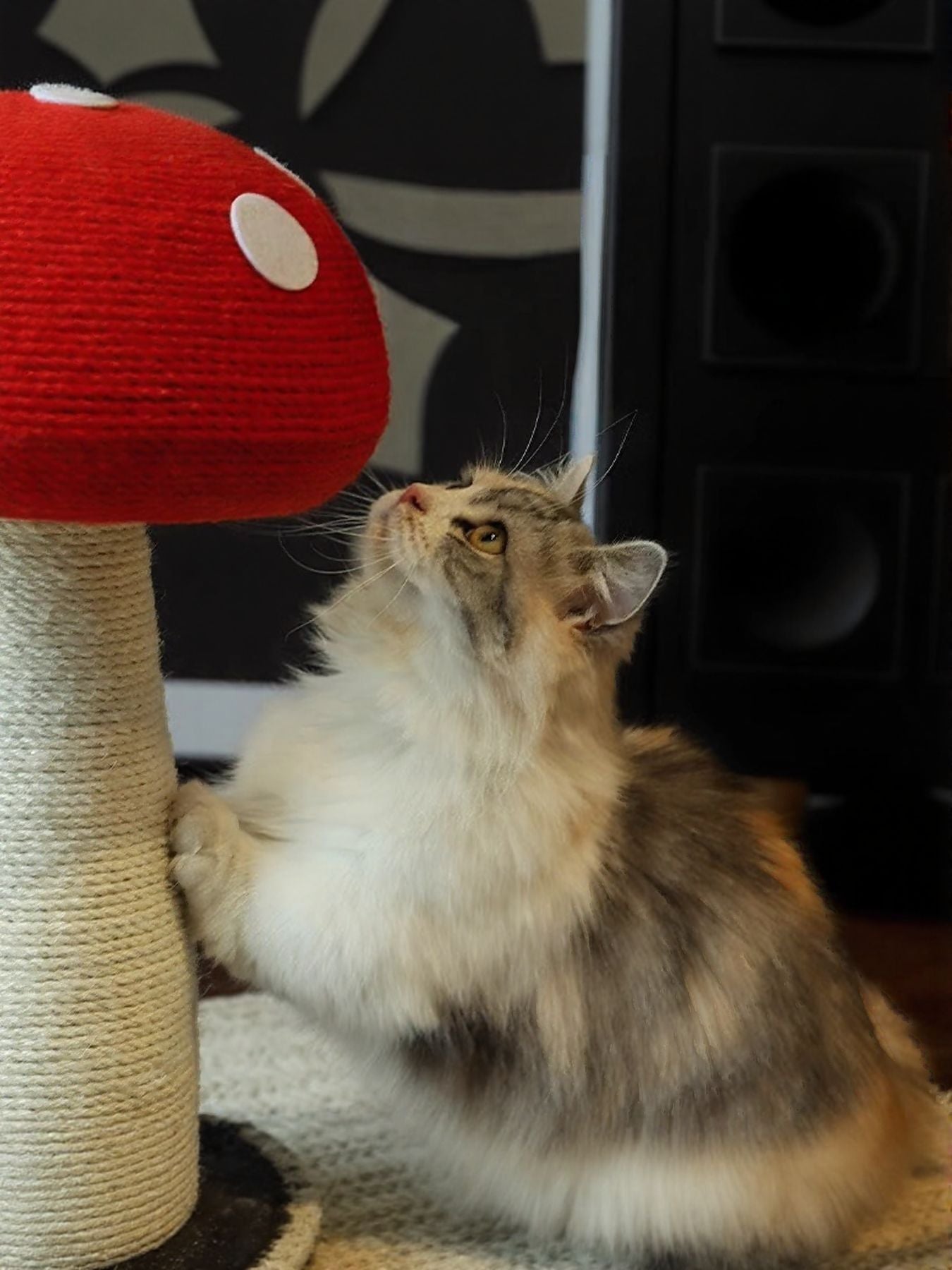 Mushroom - Shaped Cat Scratching Post - FloofChonk