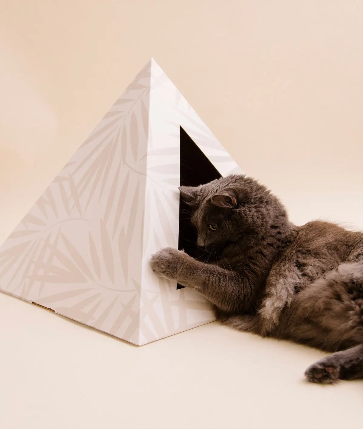 'Neutral Palm' Cardboard Cat Pyramid - FloofChonk