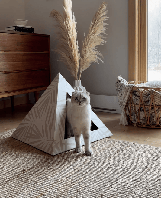 'Neutral Palm' Cardboard Cat Pyramid - FloofChonk