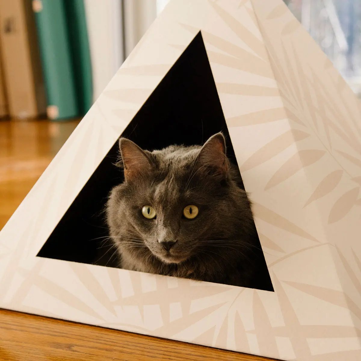 'Neutral Palm' Cardboard Cat Pyramid - FloofChonk
