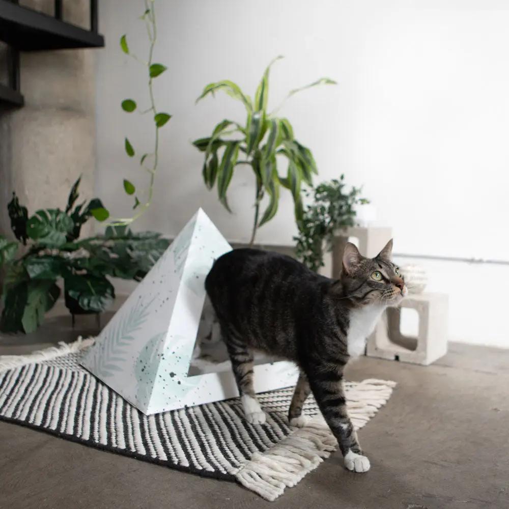 'Oasis' Cardboard Cat Pyramid - FloofChonk