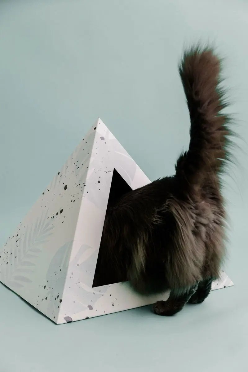 'Oasis' Cardboard Cat Pyramid - FloofChonk