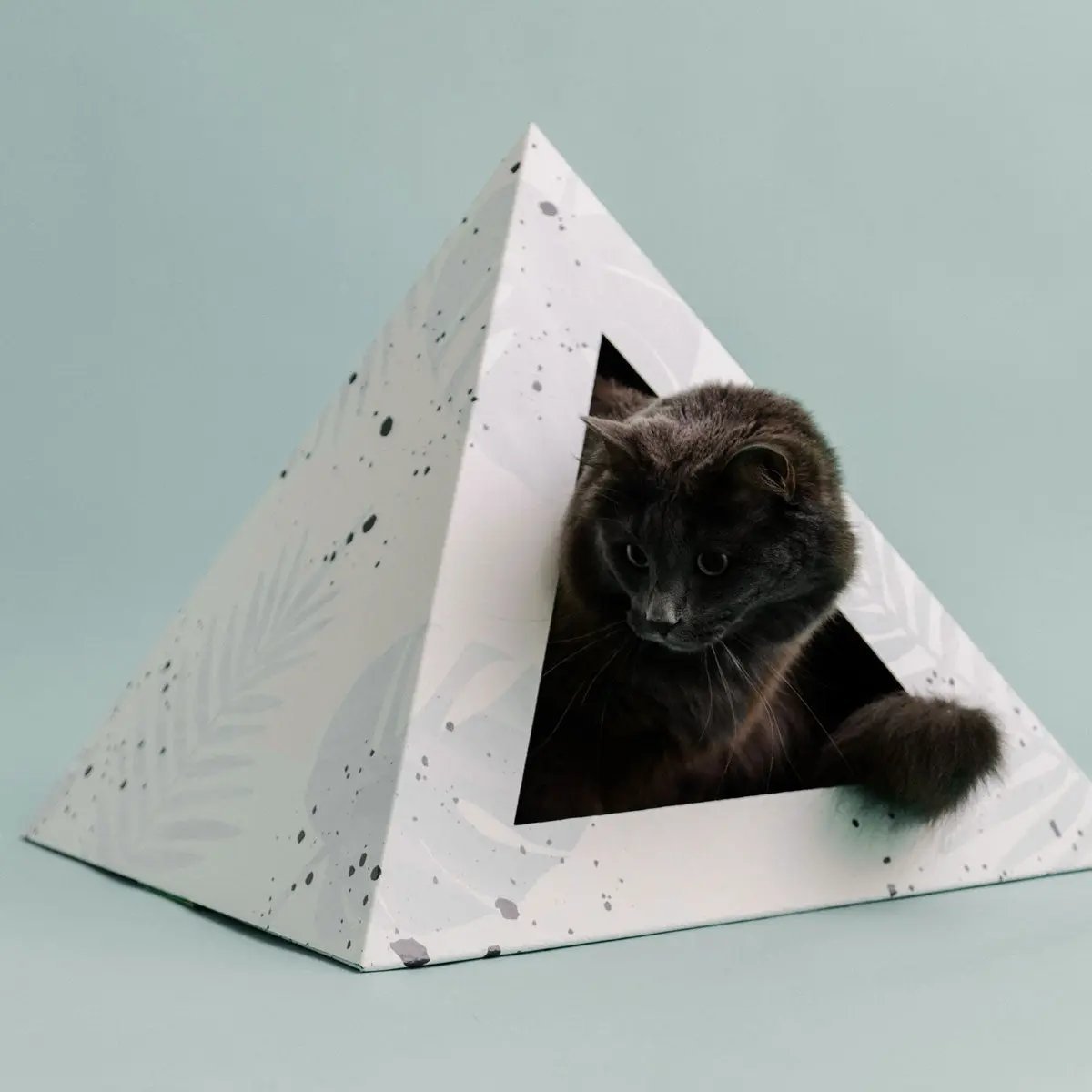 'Oasis' Cardboard Cat Pyramid - FloofChonk