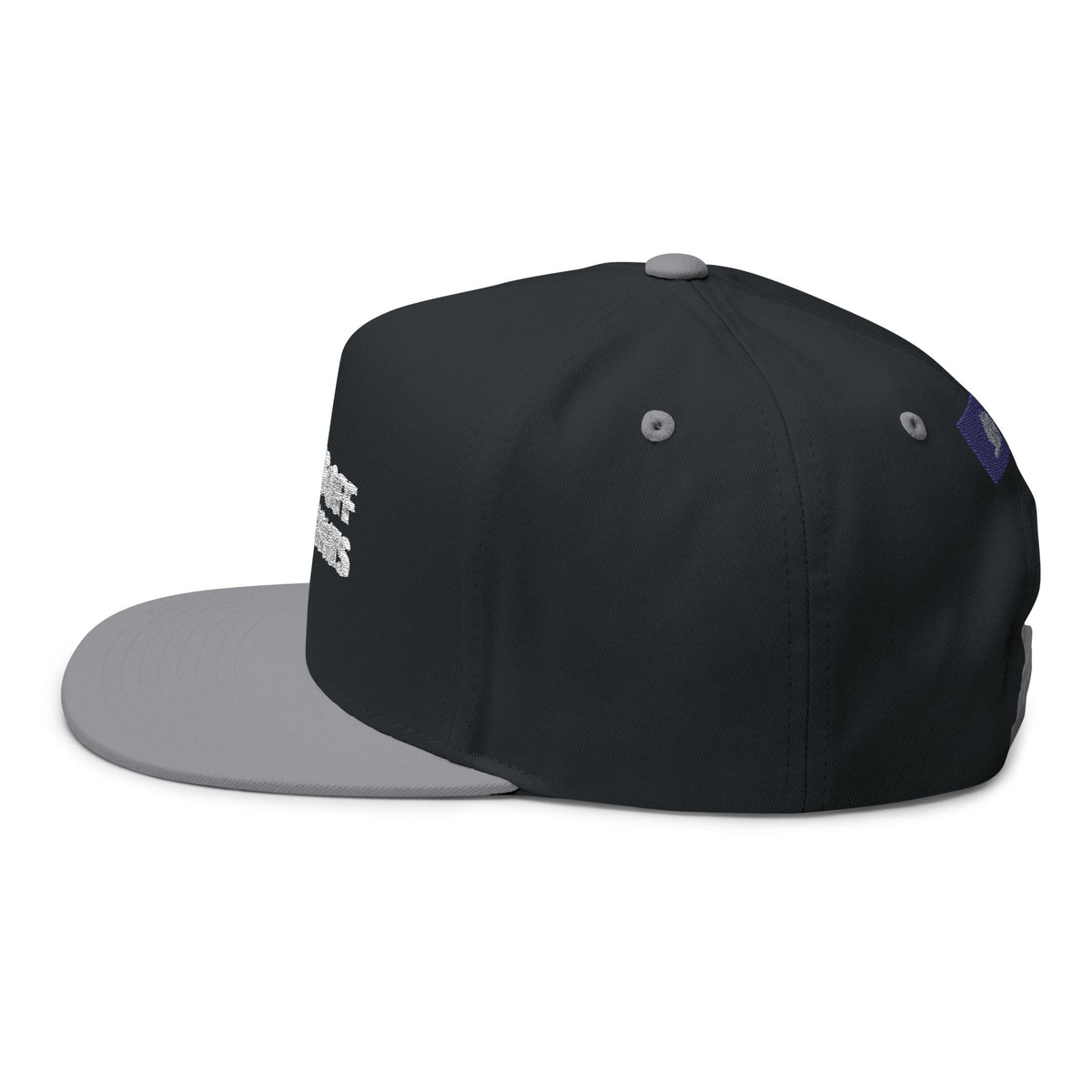 Paws Off My Rights Flat Bill Cap — Embroidered Cat Paw Freedom Hat - FloofChonk