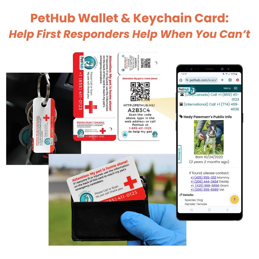 PetHub QR Pet ID Comprehensive ReadyKit – Complete Emergency Kit - FloofChonk